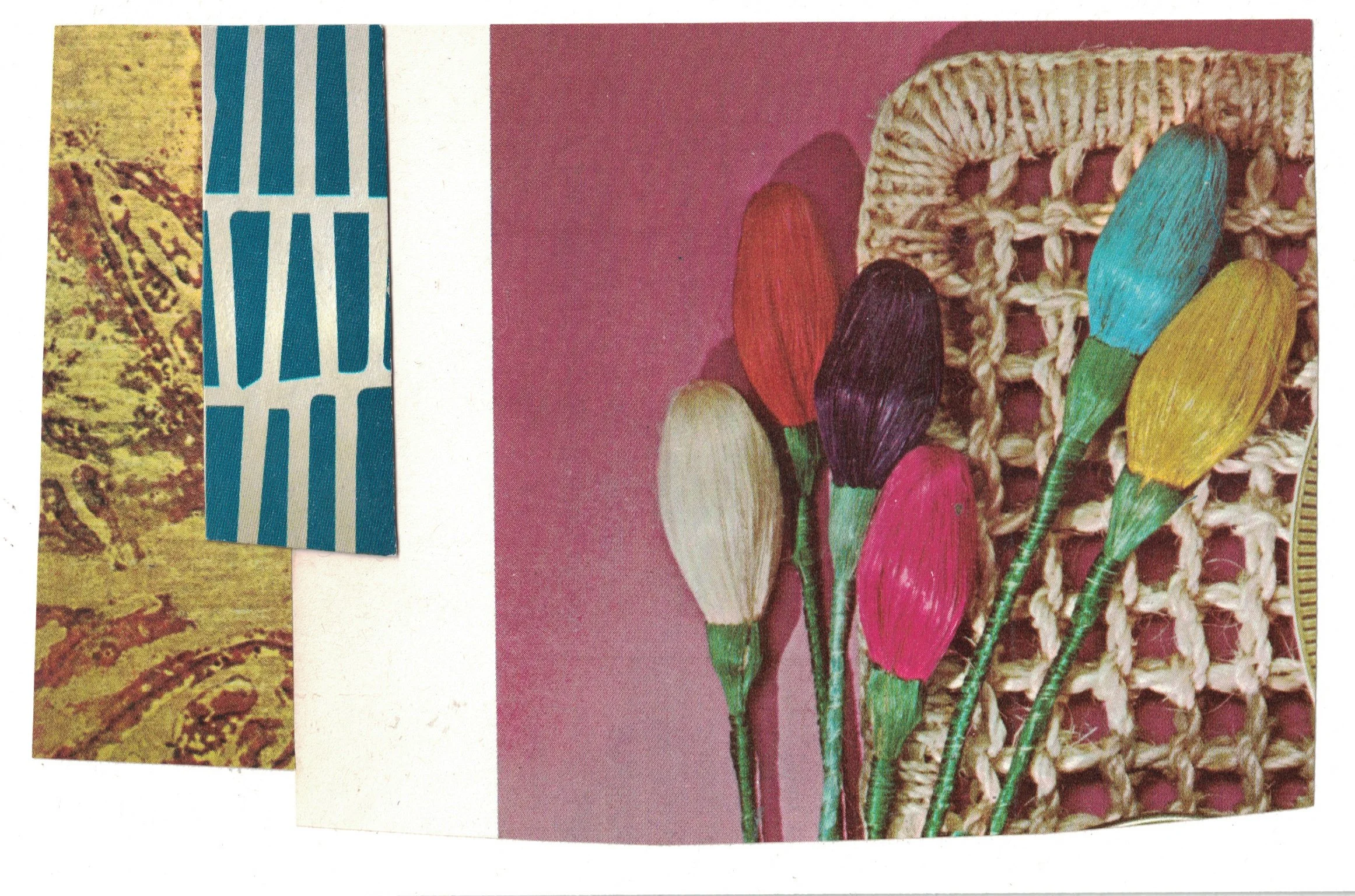 Flowers of •&nbsp;Erica Trabold
