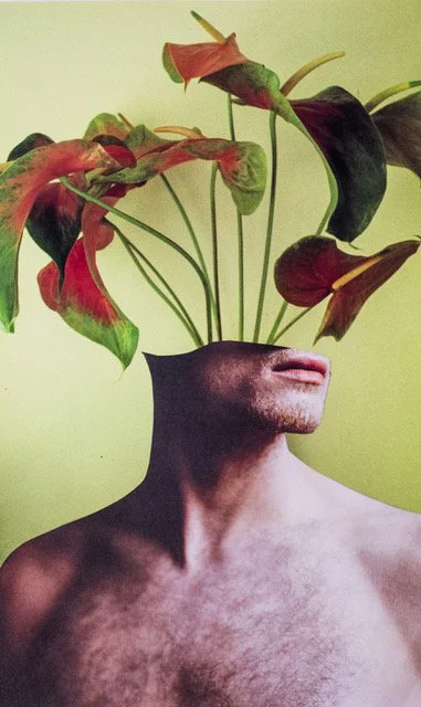 Homem Flor II.jpeg