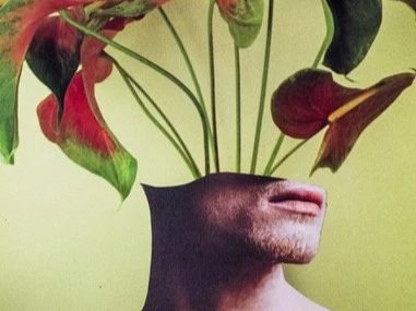 Híbrido : Silvio Severino at GalleryX