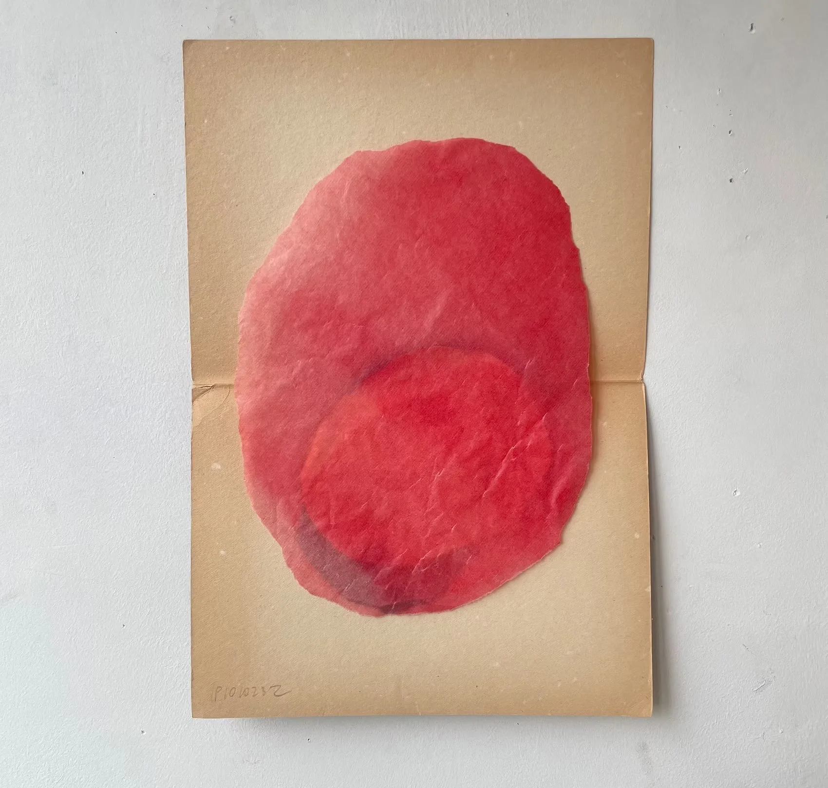 CELL1010232-28x41cm_JPG.jpg