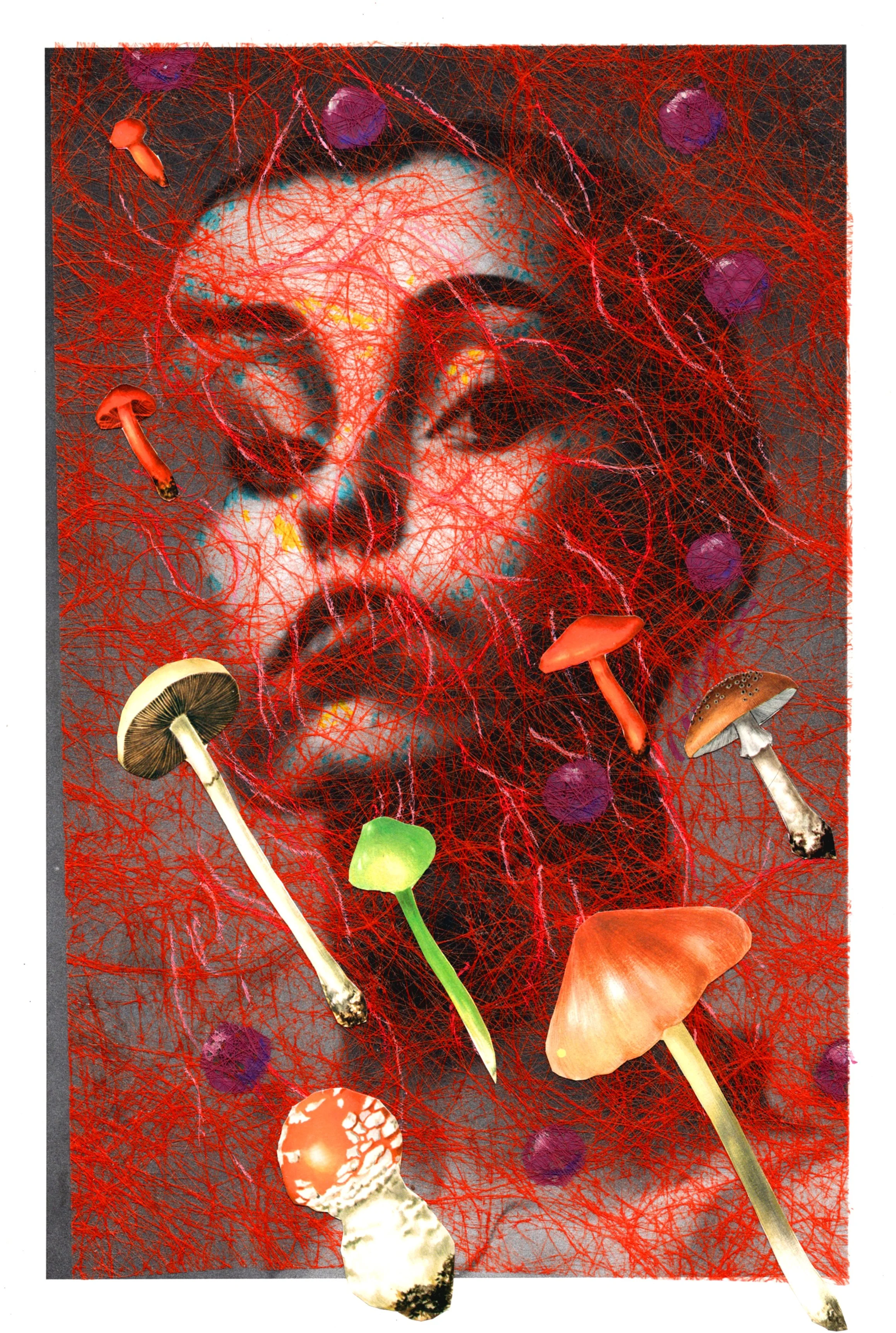 Veils of Dreams • Geoff Litchfield • @geofflitchfield