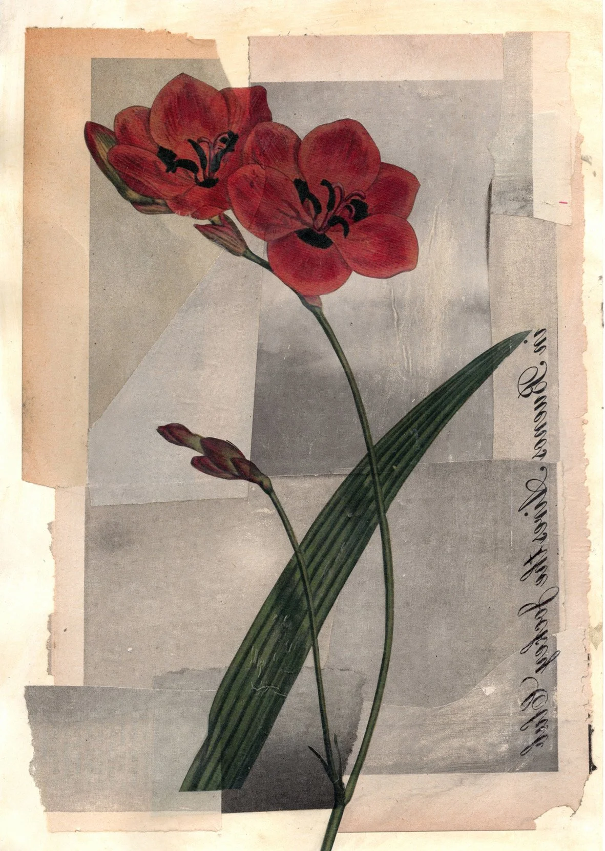 Saudade#4 1200dpi copy.jpg