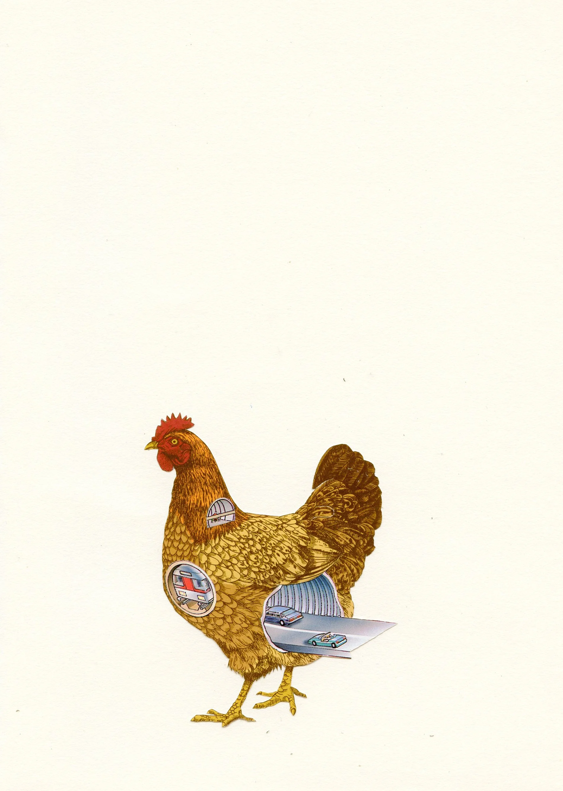 The Chicken Road • Imanol Buisan • @imabm