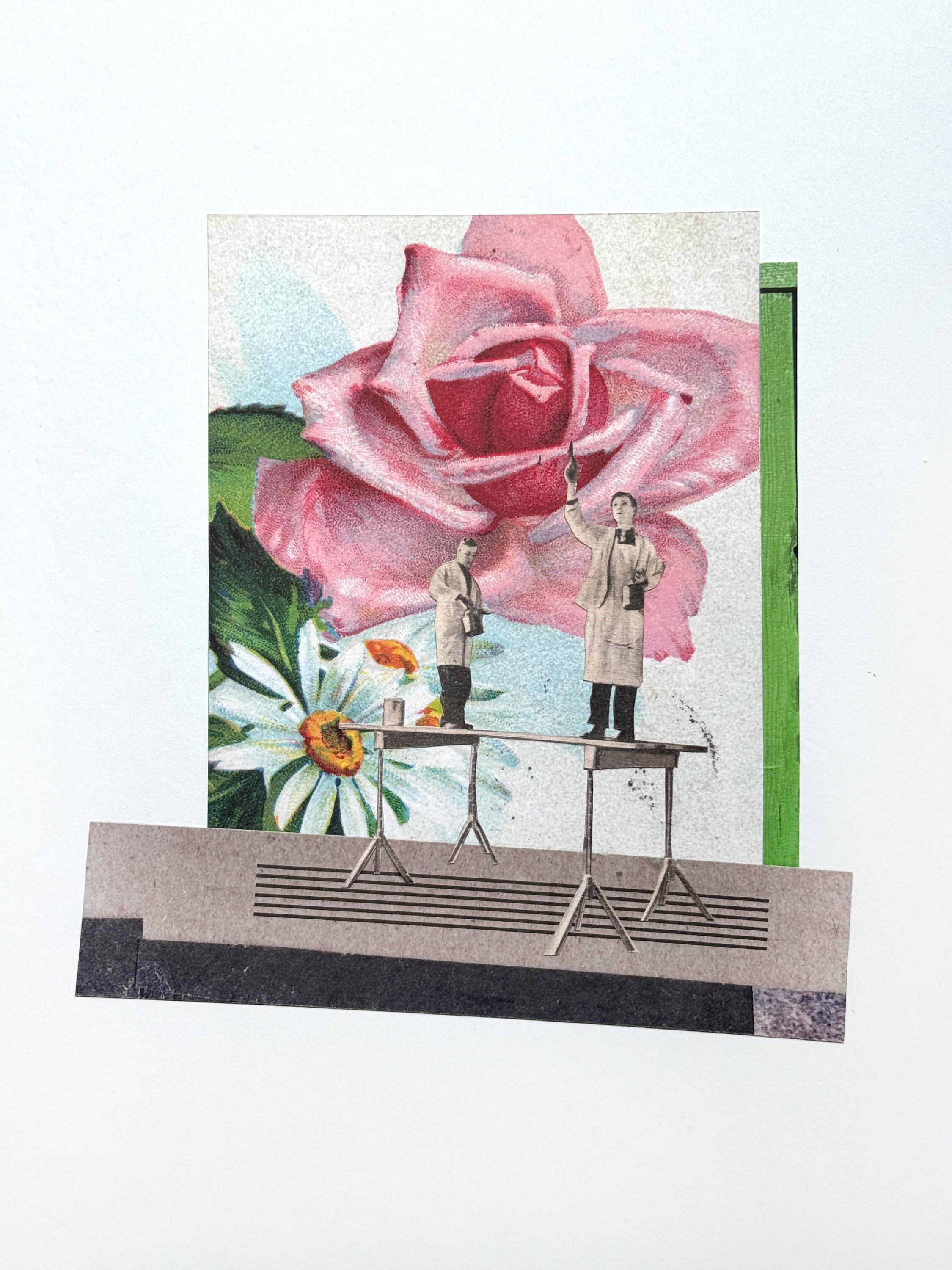 Painting Flowers • Ian Crooks • @iancrooksart