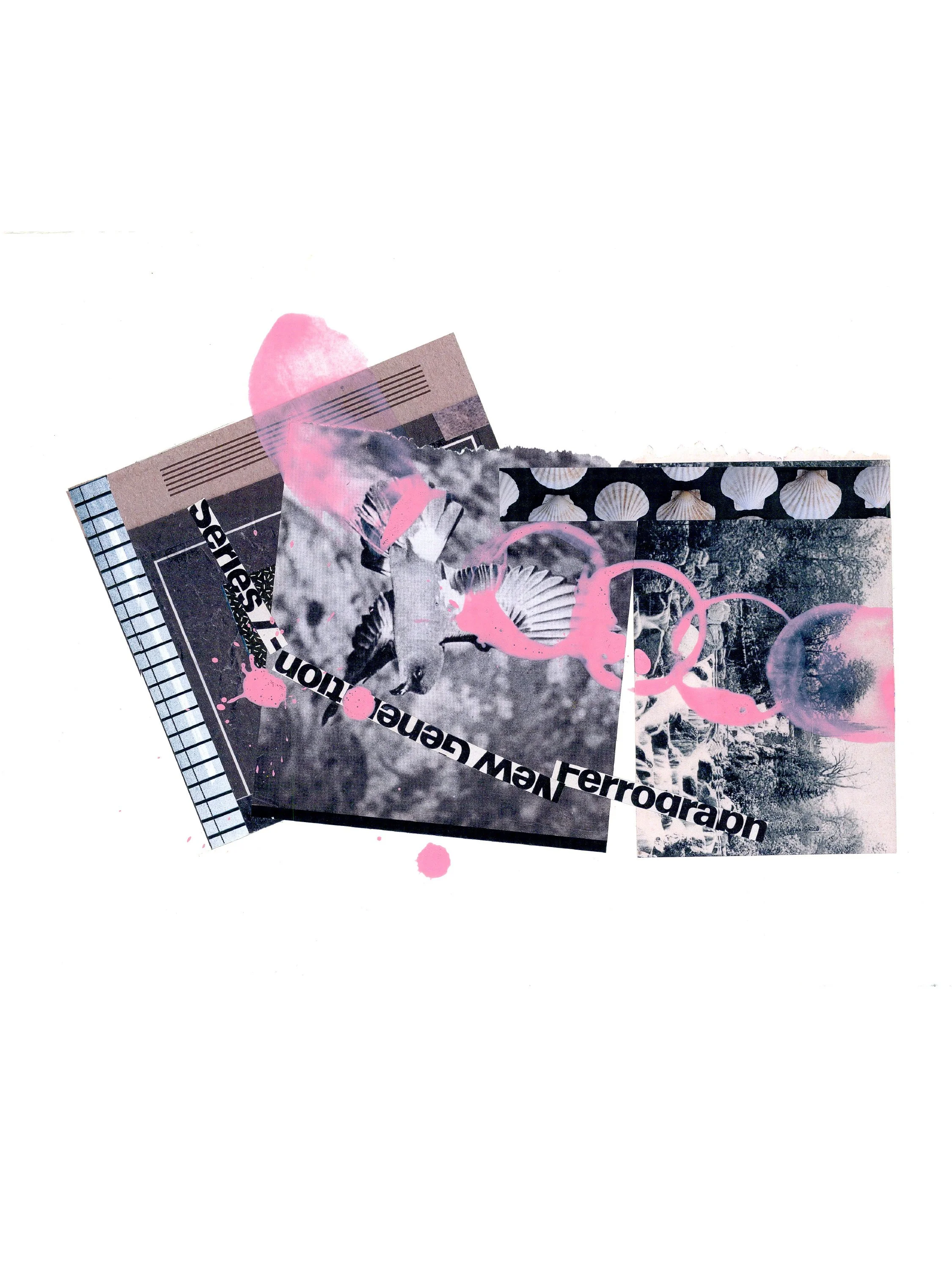 Mourning Dove •  Jay Tomlinson • @jtom1515