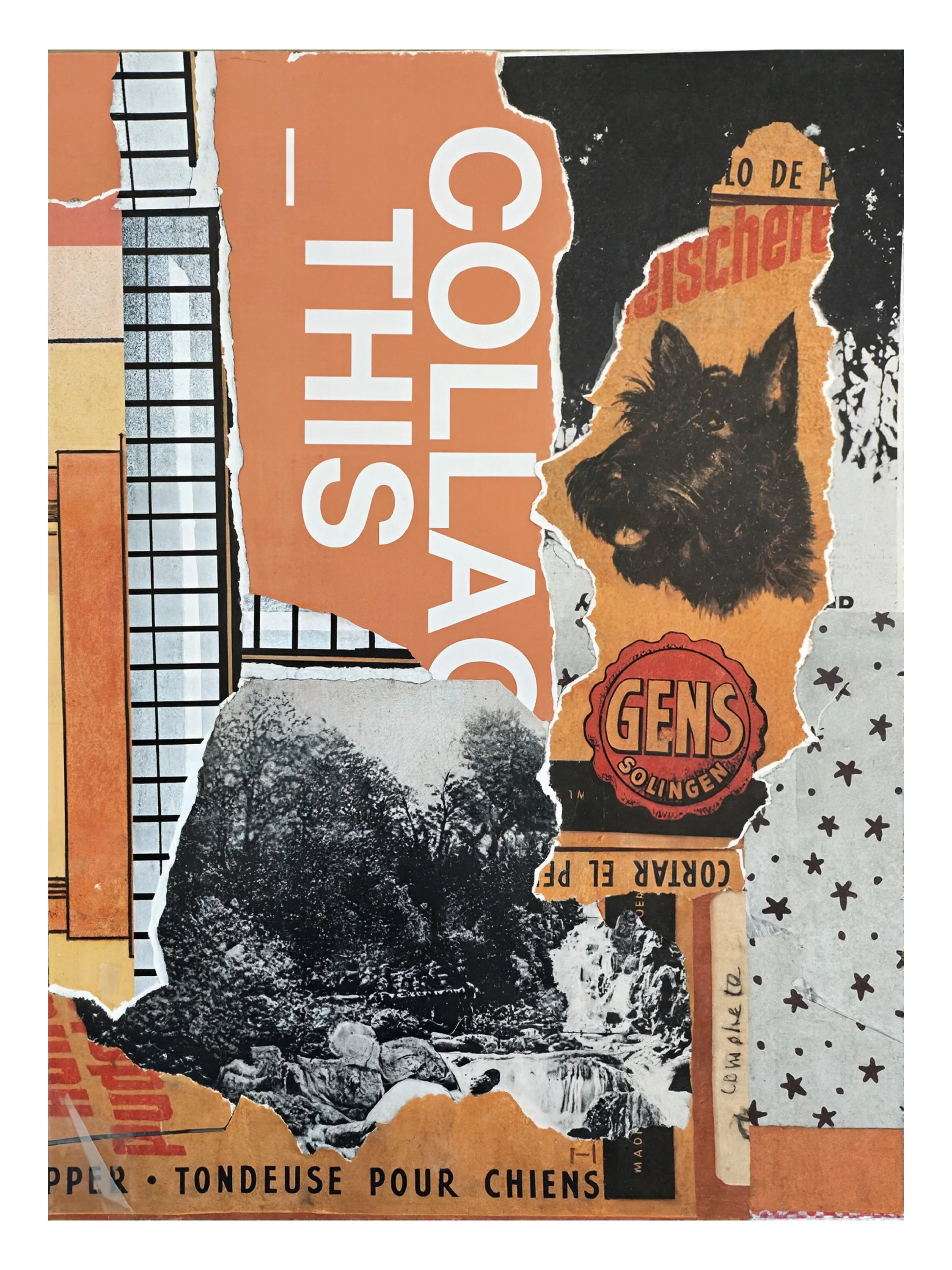 Collage This • Elise Shapiro • @collageastherapy