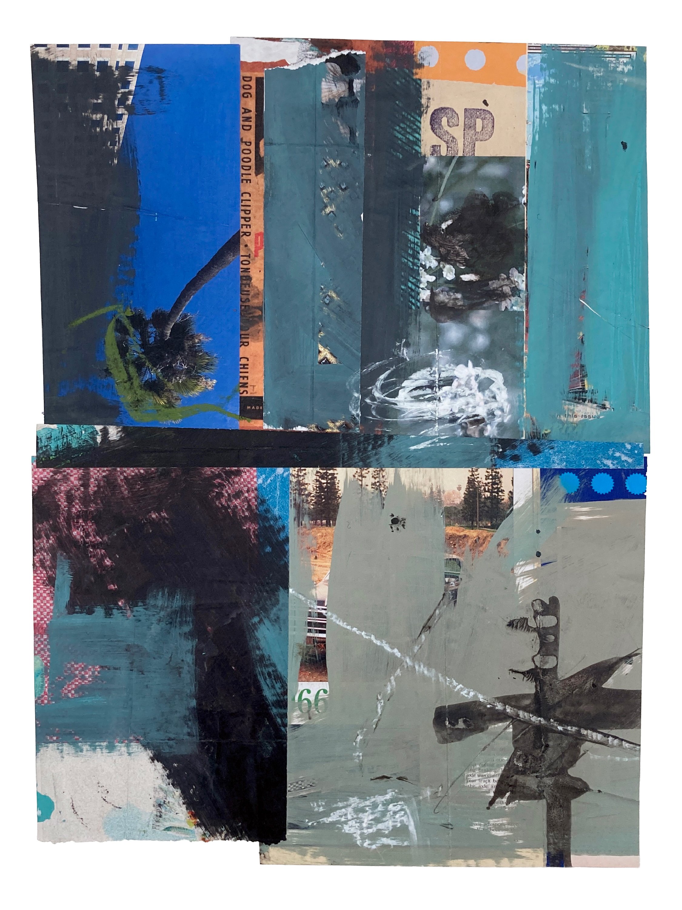 sp66 • Mark Willie • @mwillie97