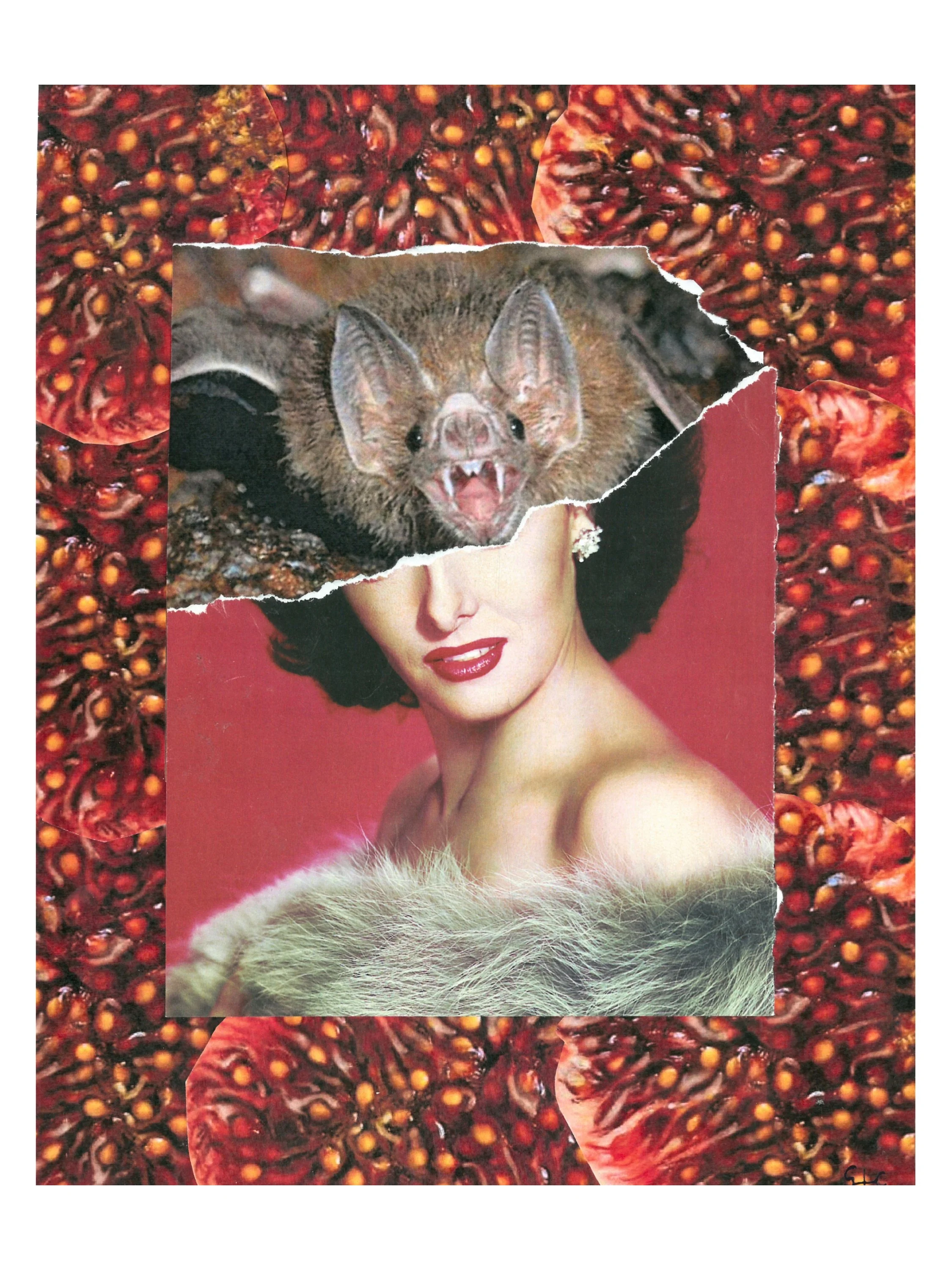 Stefano Carbone • VAMPirismo • @stefano_carbone_collage
