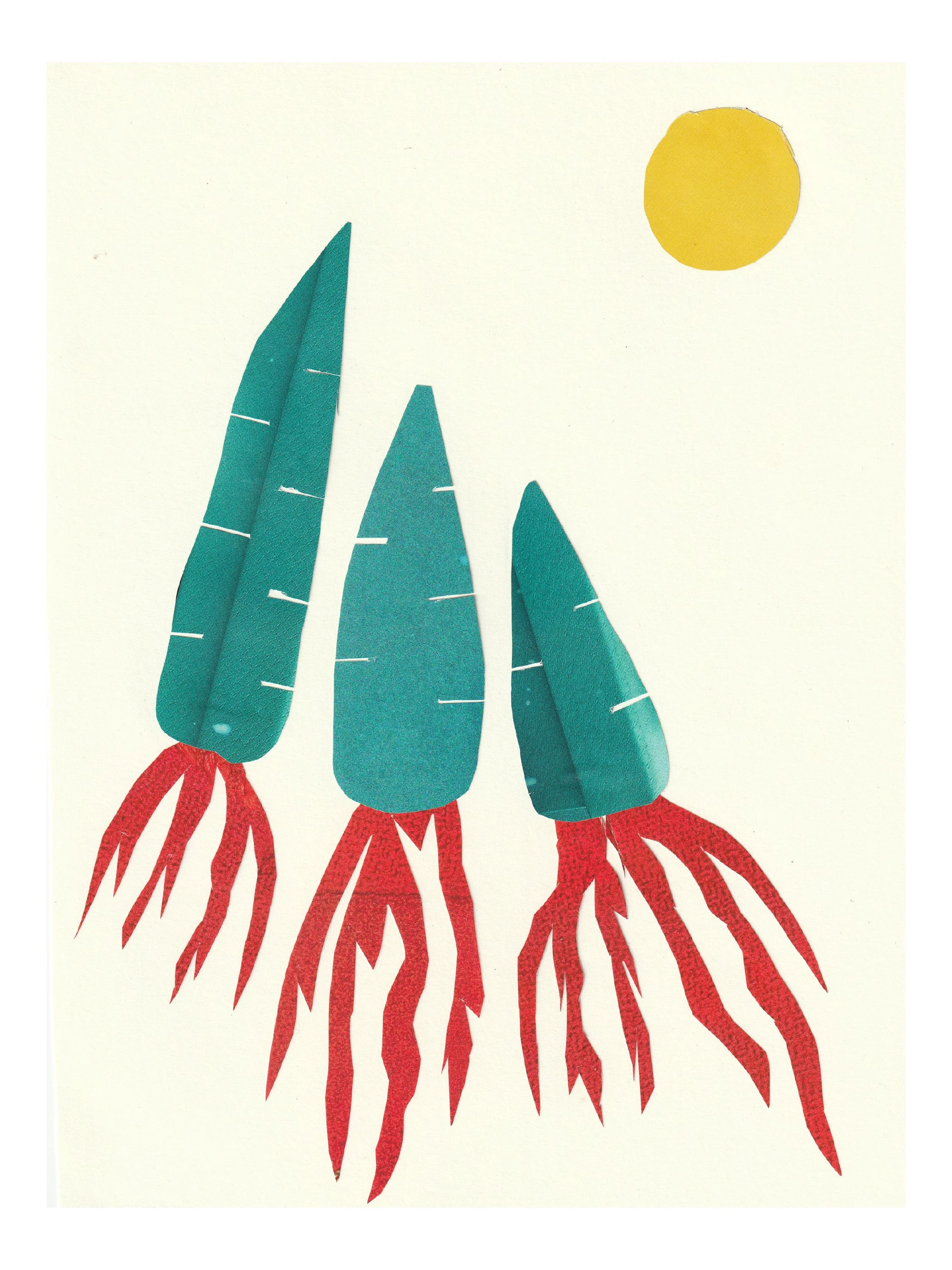 Carrot Rockets