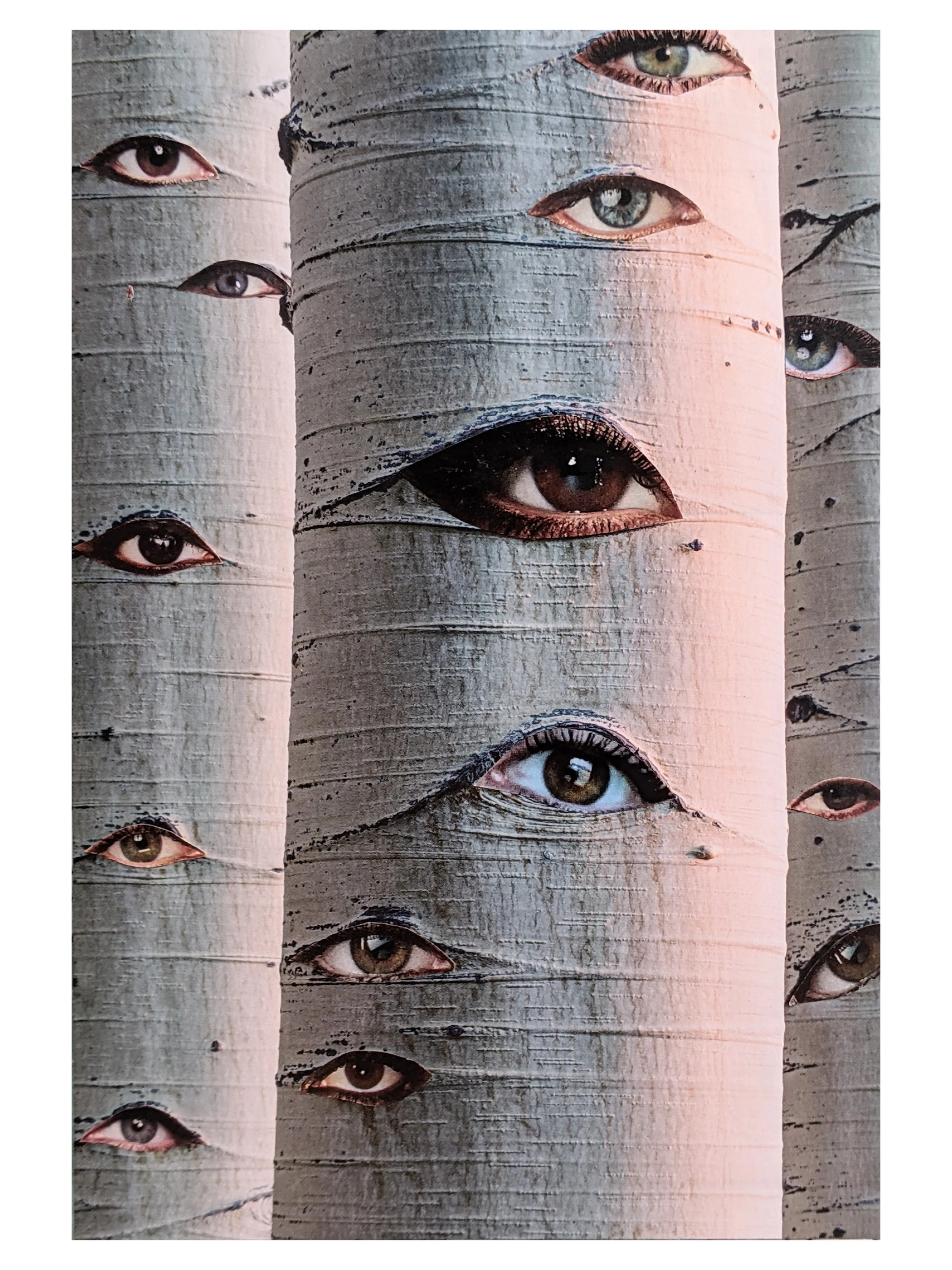 Birch • Mélusine Velde • @ivebeencollaging