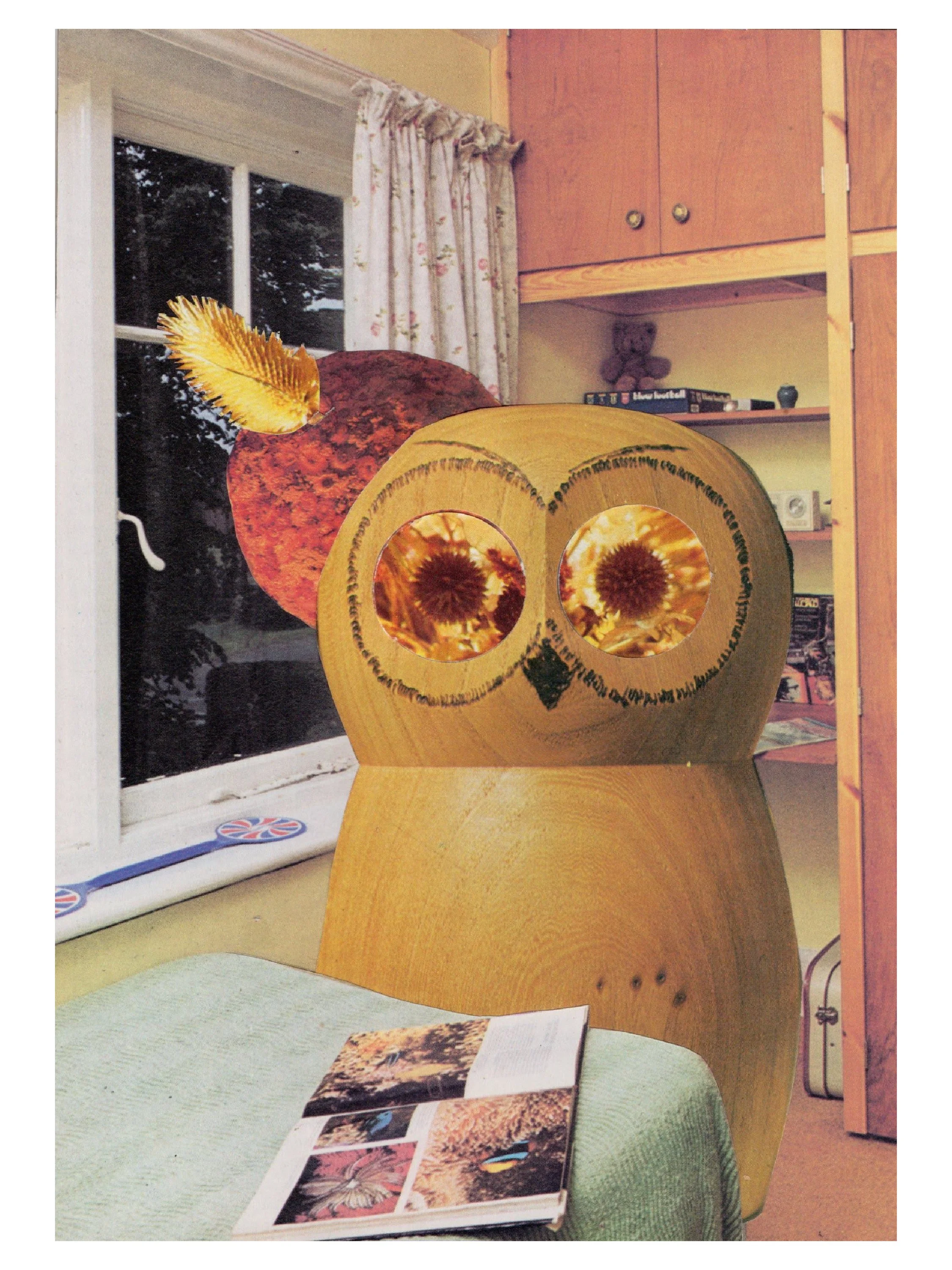 Owls Bedroom