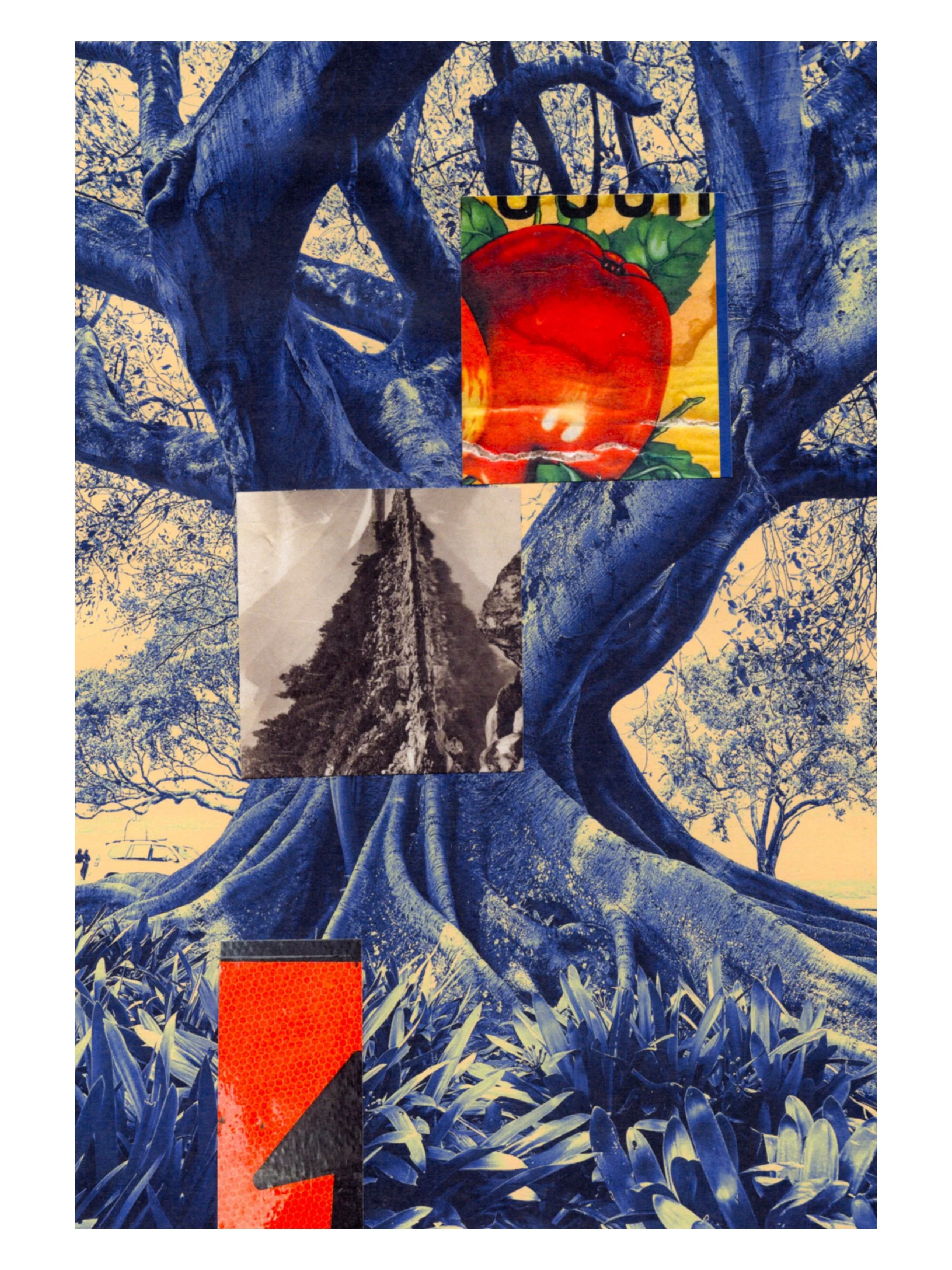 Reforesting