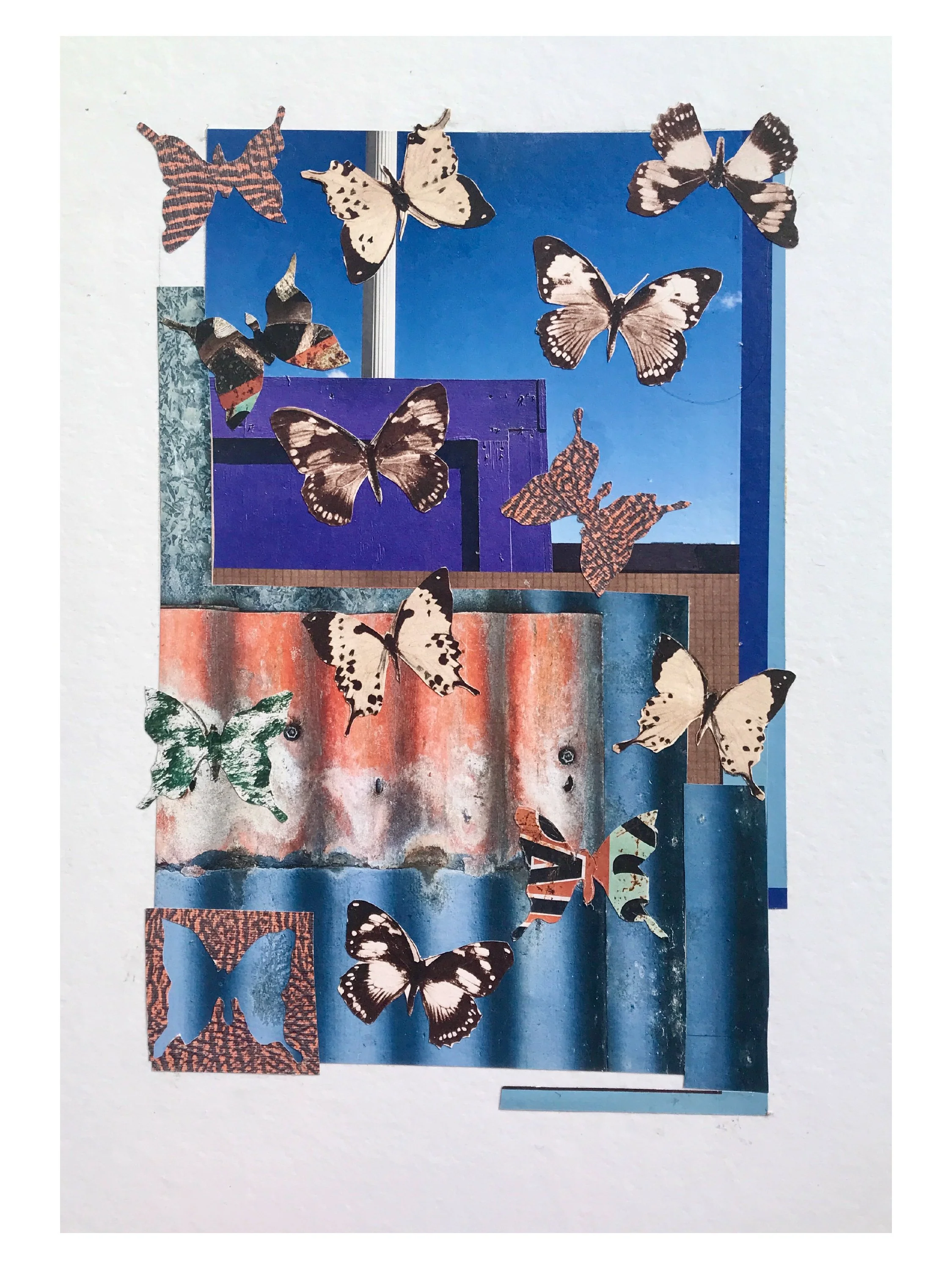 Butterfly Ball • Barbara McGirr • @barbaramcgirr