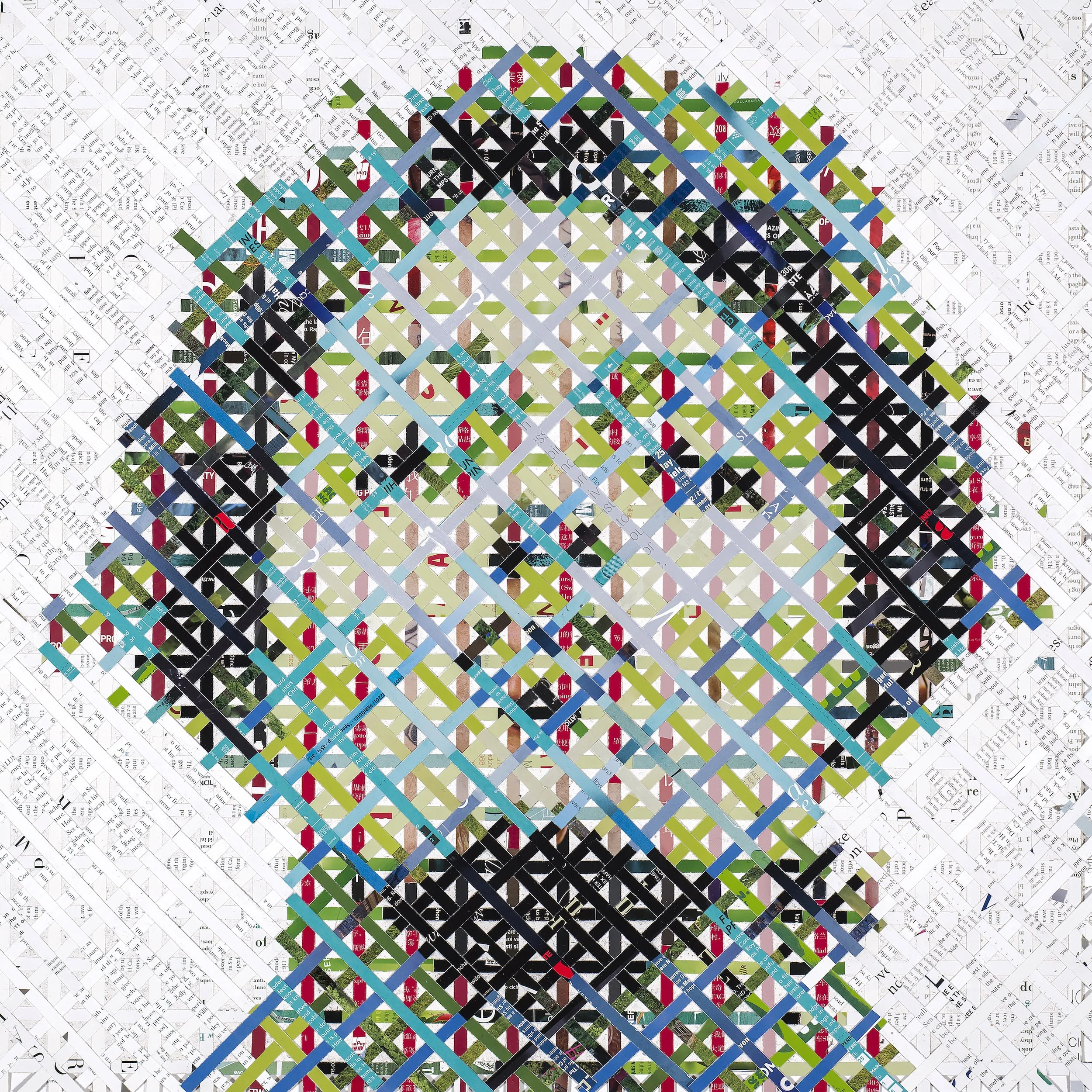 PaolaBazz_shreddedportrait1_paolabazz.jpg