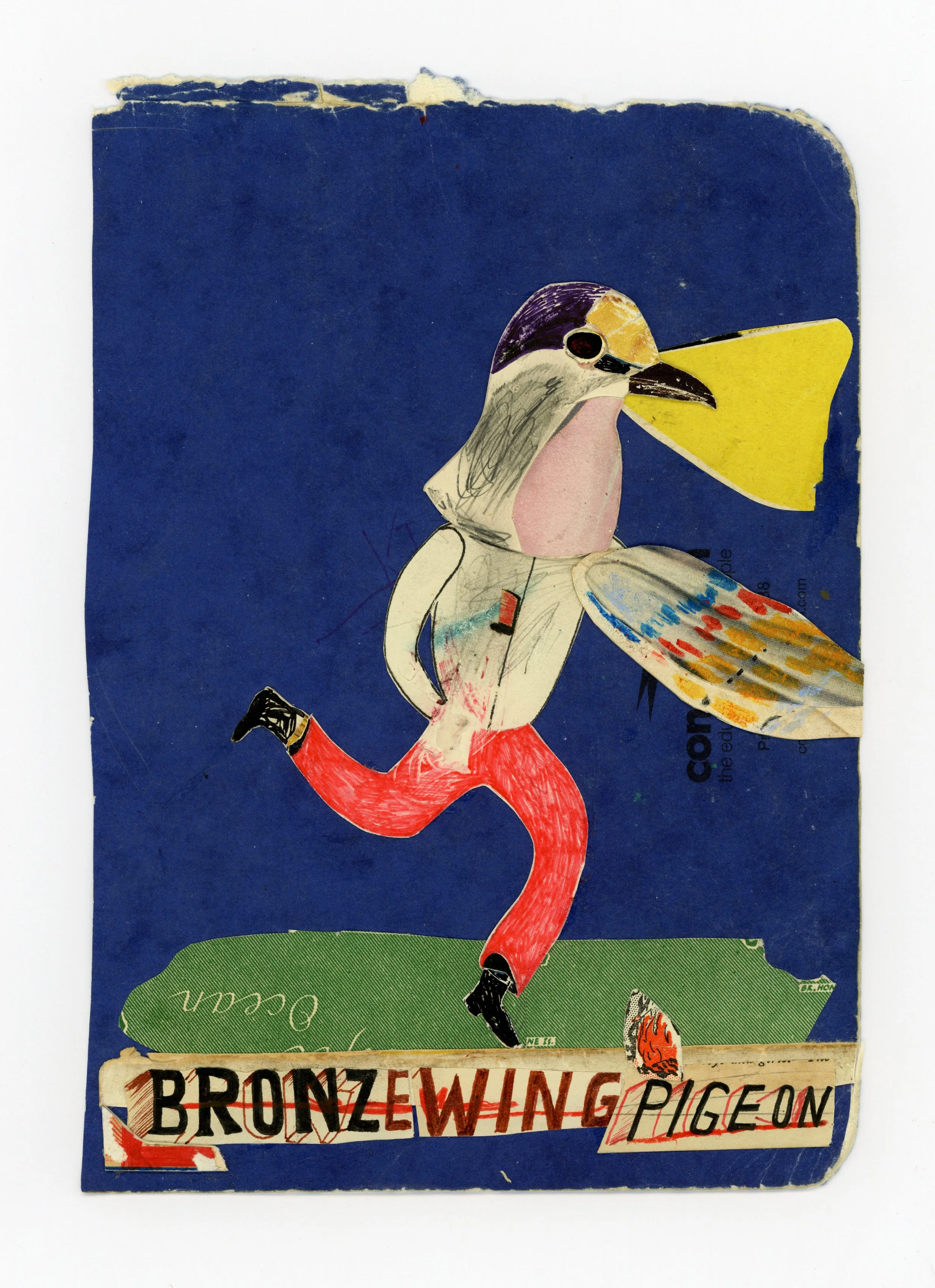 Mark Timmins_Bronzewing_Pigeon_mark_timmins77.jpg