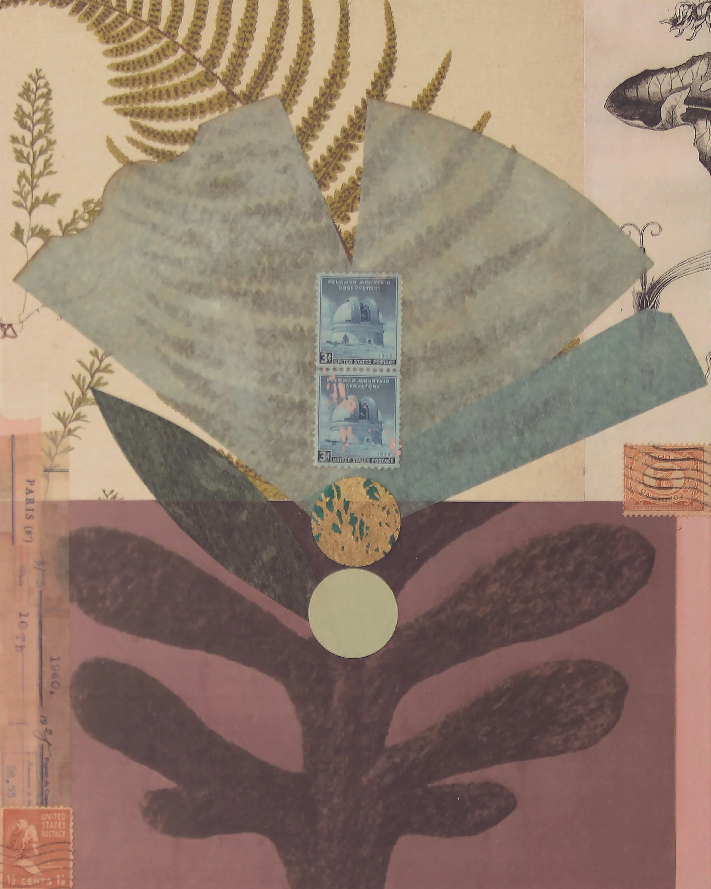 katherinemead_FloraStudy5_katherinemeadpaintings.jpg