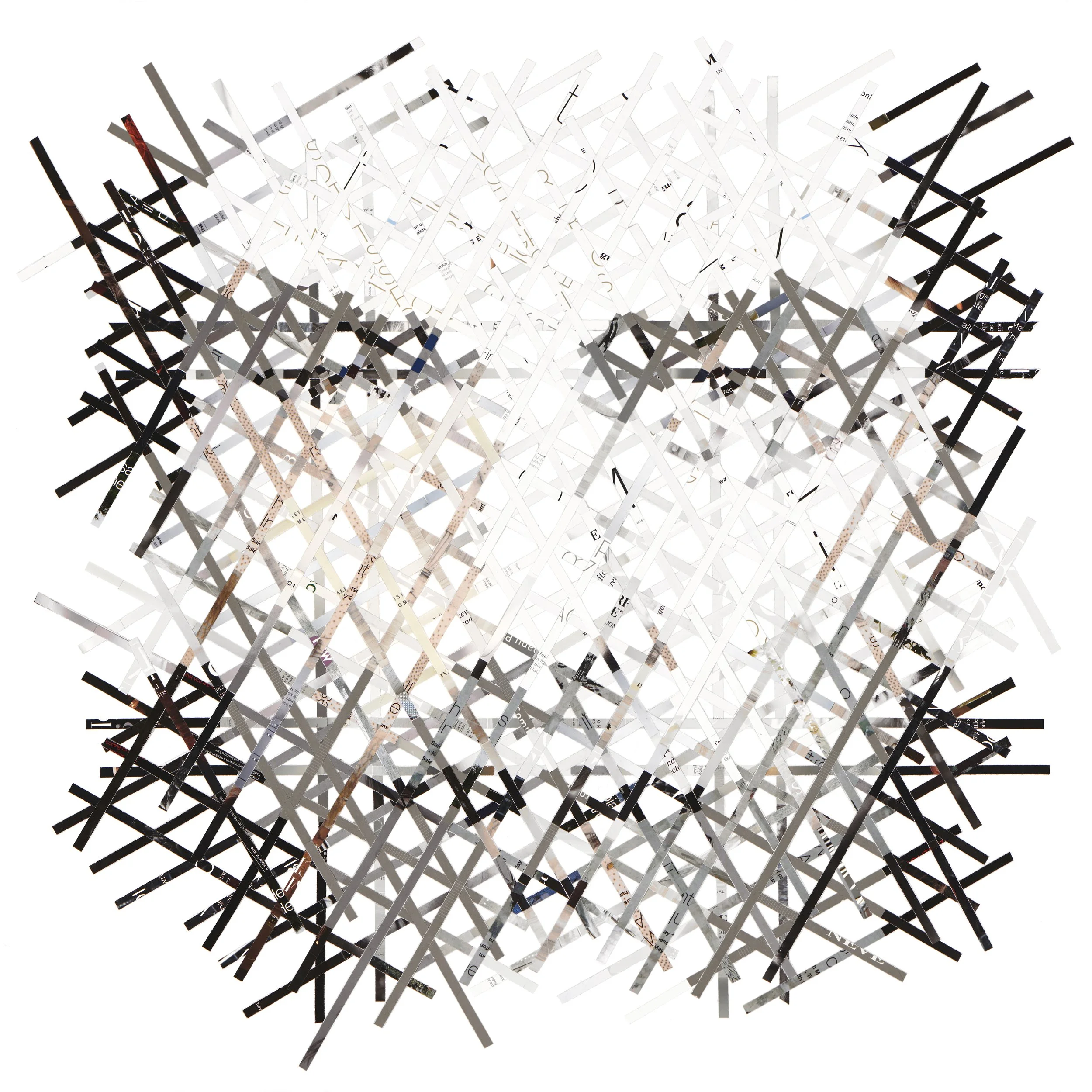 PaolaBazz_shreddedportrait2_paolabazz.jpg