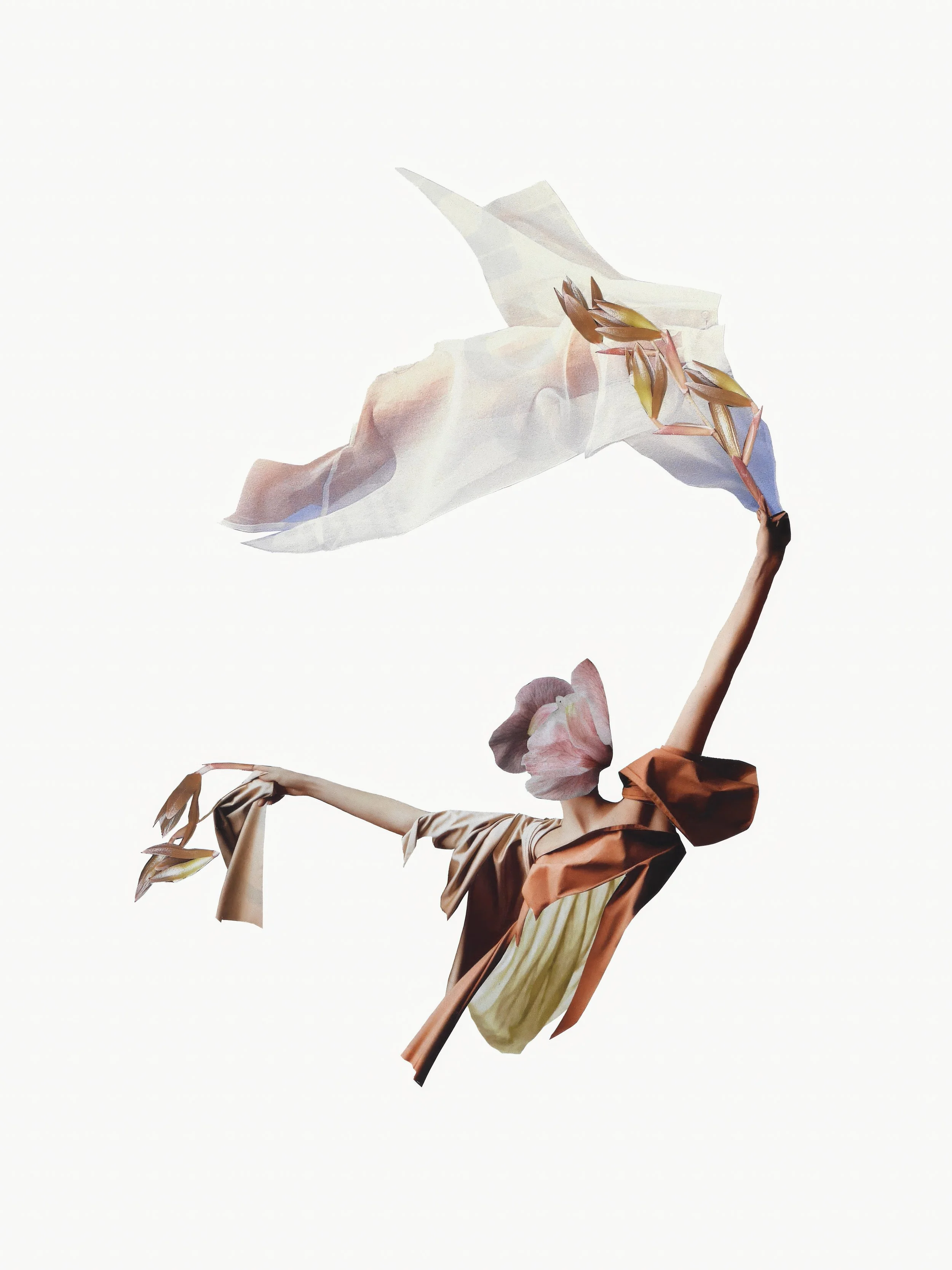 Lauren Crasco_Unfurling_crascodesign.jpg