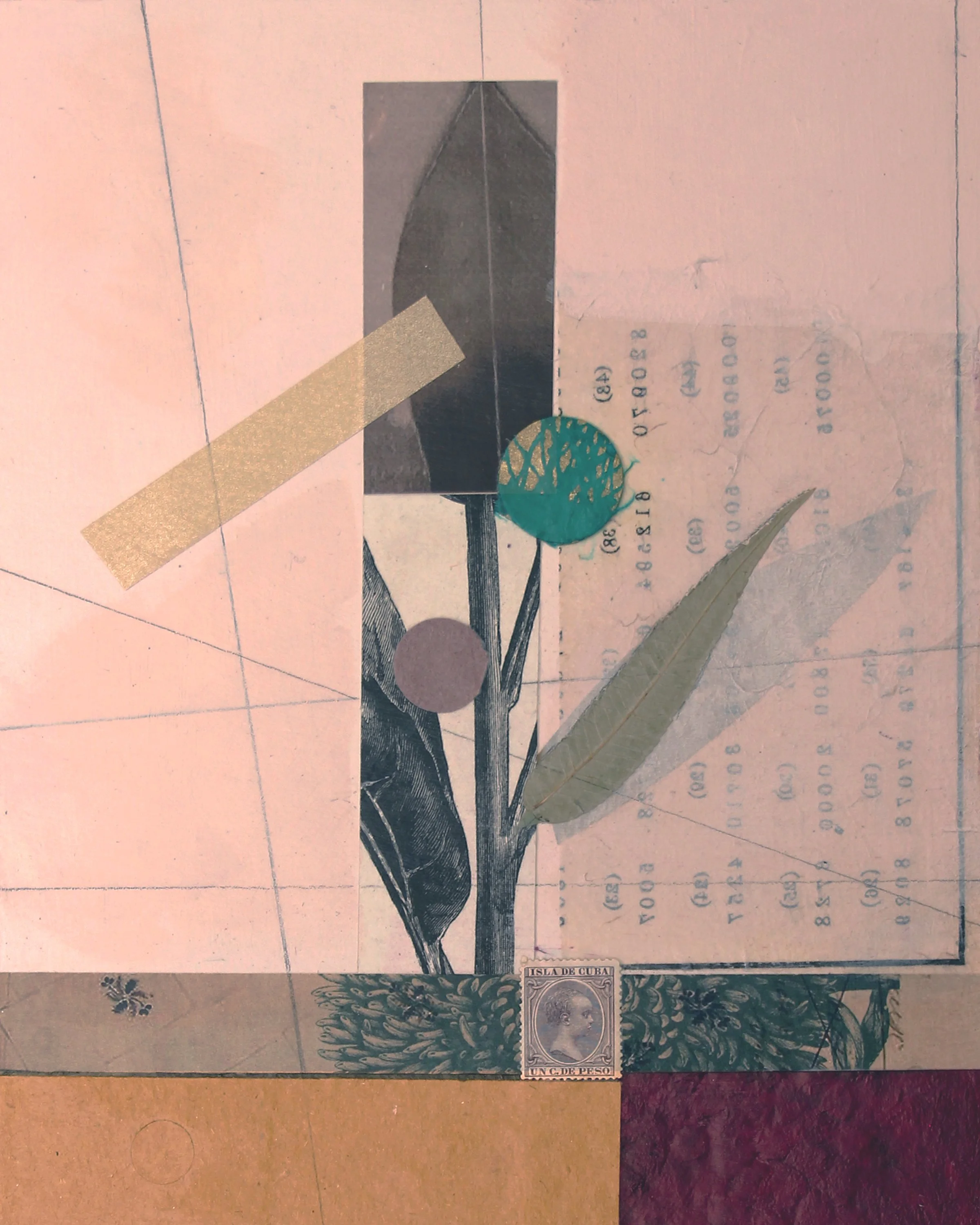 katherinemead_FloraStudy8_katherinemeadpaintings.jpg