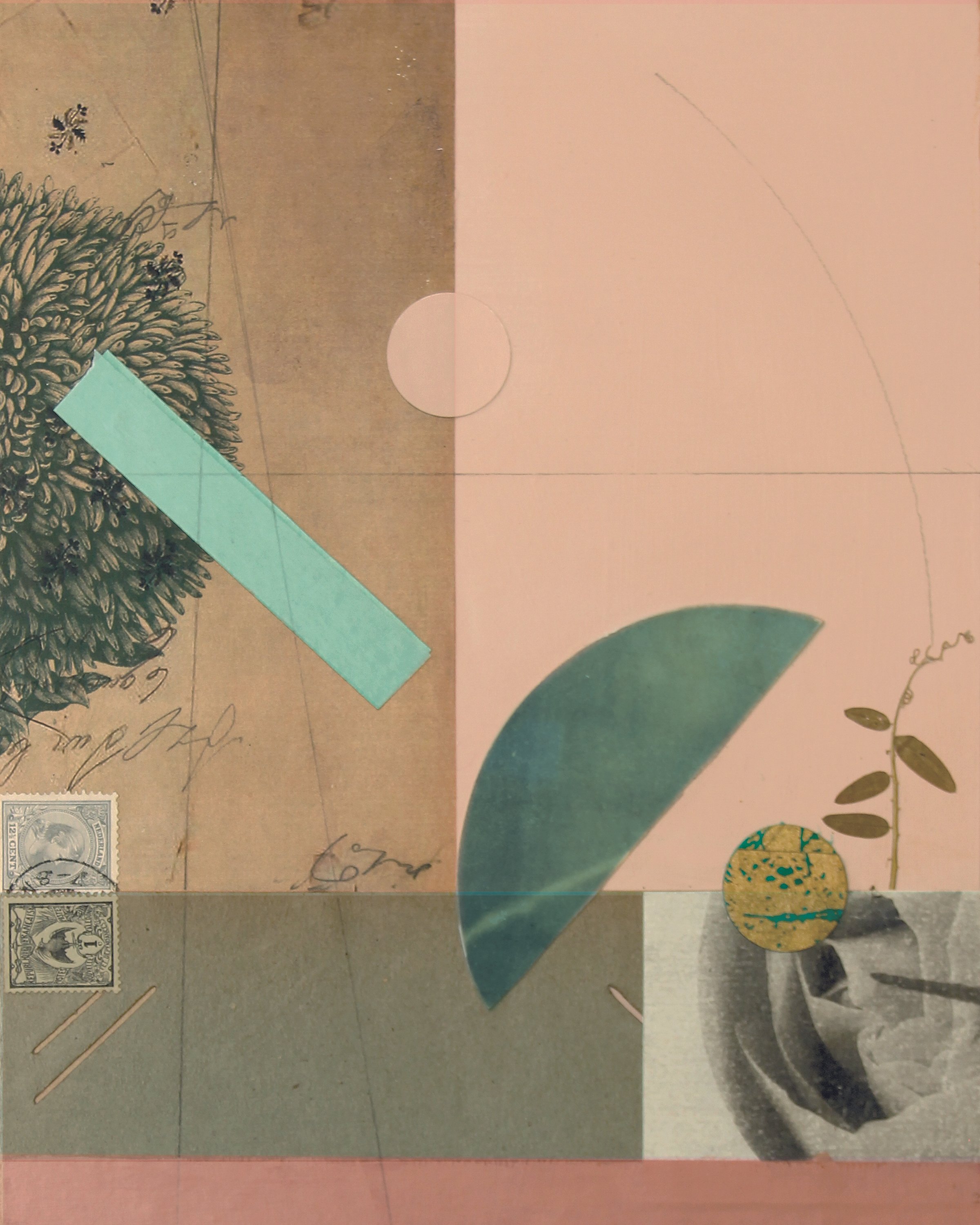 katherinemead_FloraStudy9_katherinemeadpaintings.jpg