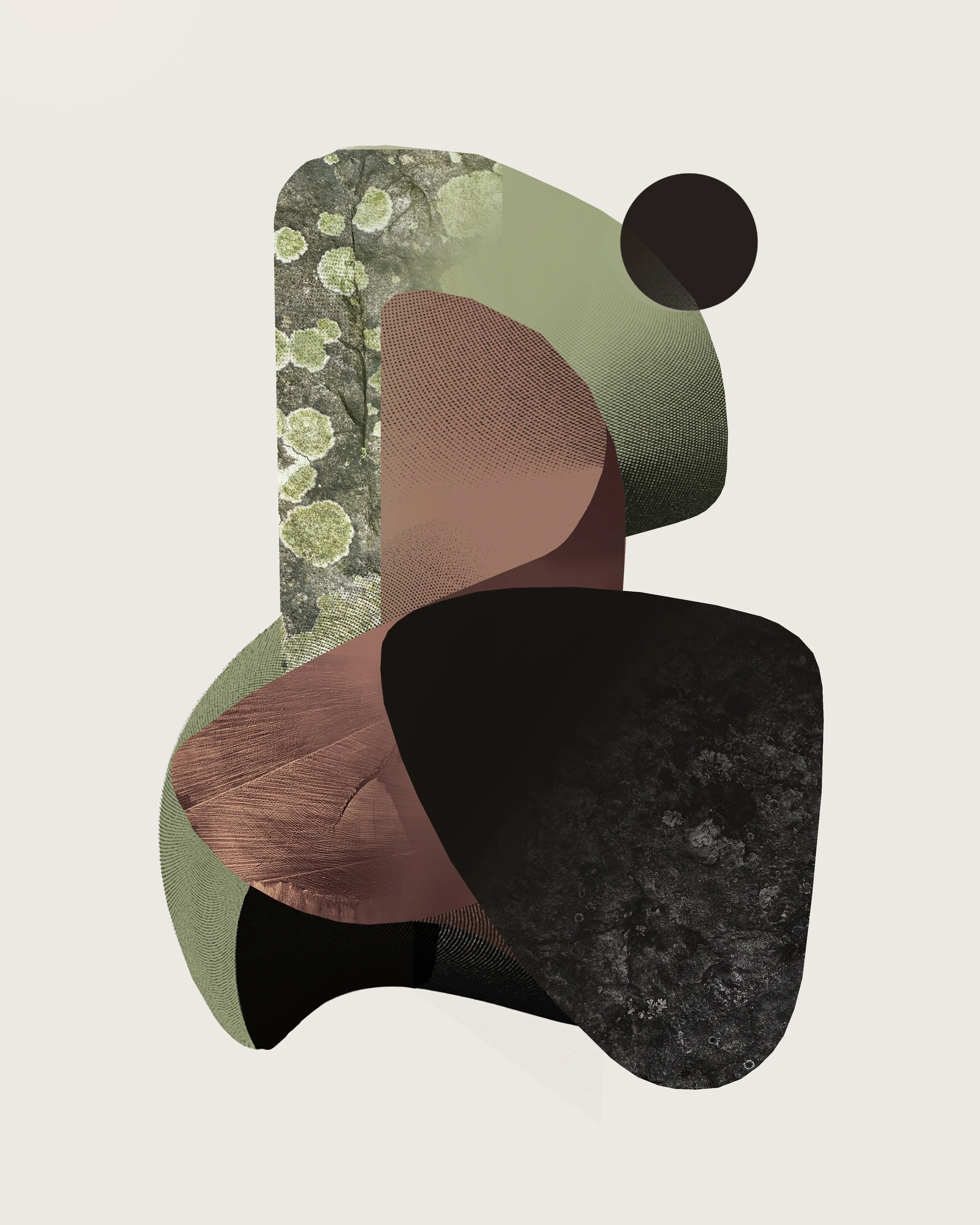 Cole Sletten_Downside_hmn.nature.jpg
