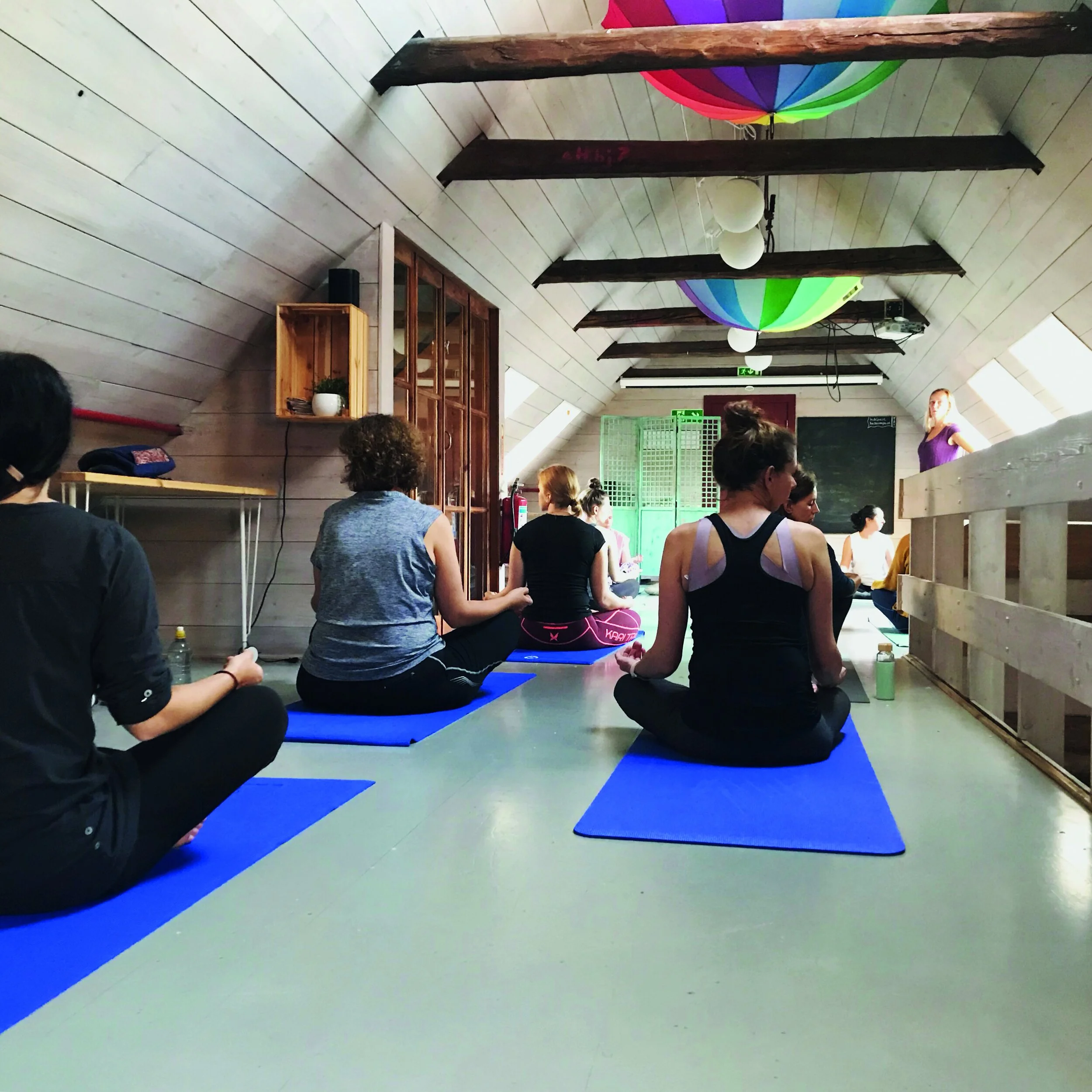 Har du funnet din ikigai?