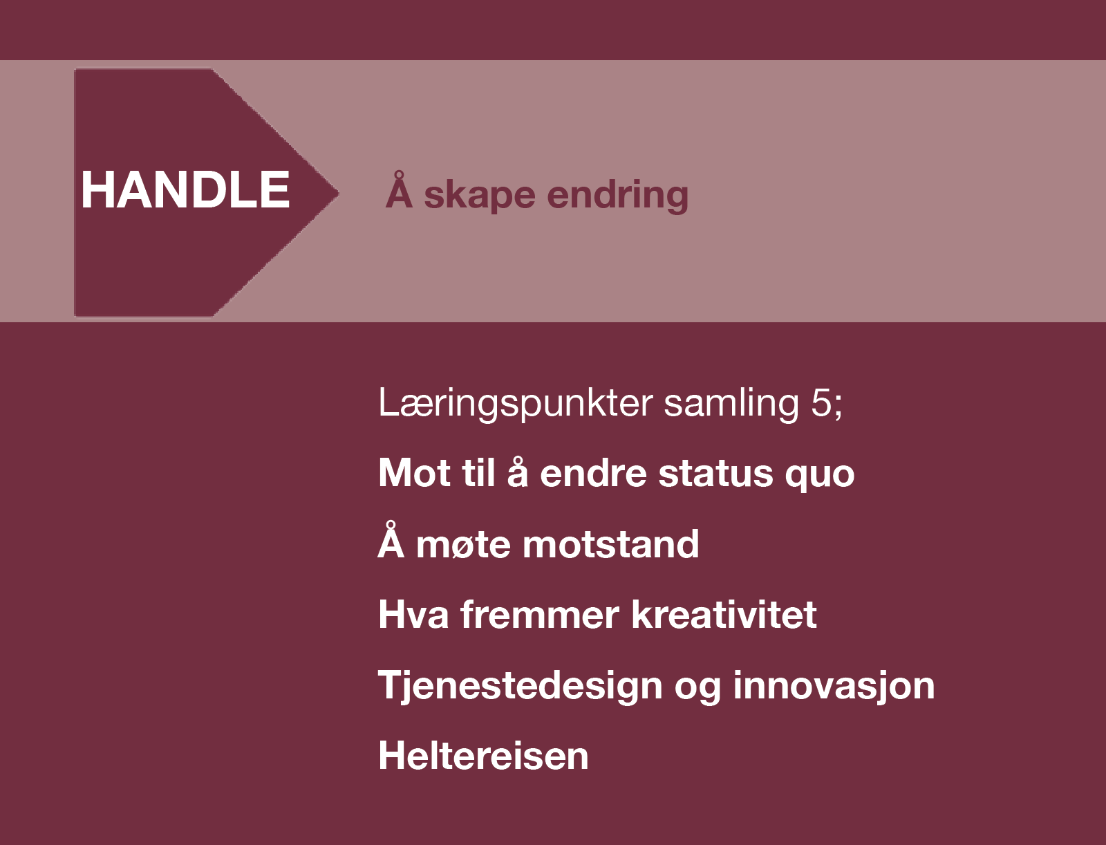Å HANDLE: Å lede endringsprosesser med mot og mening