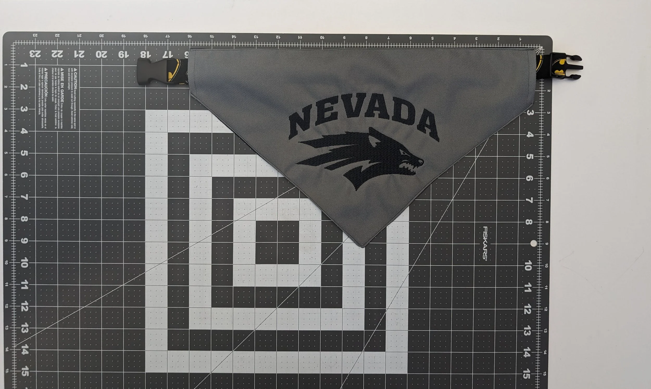 LRG 18 in collar.jpg