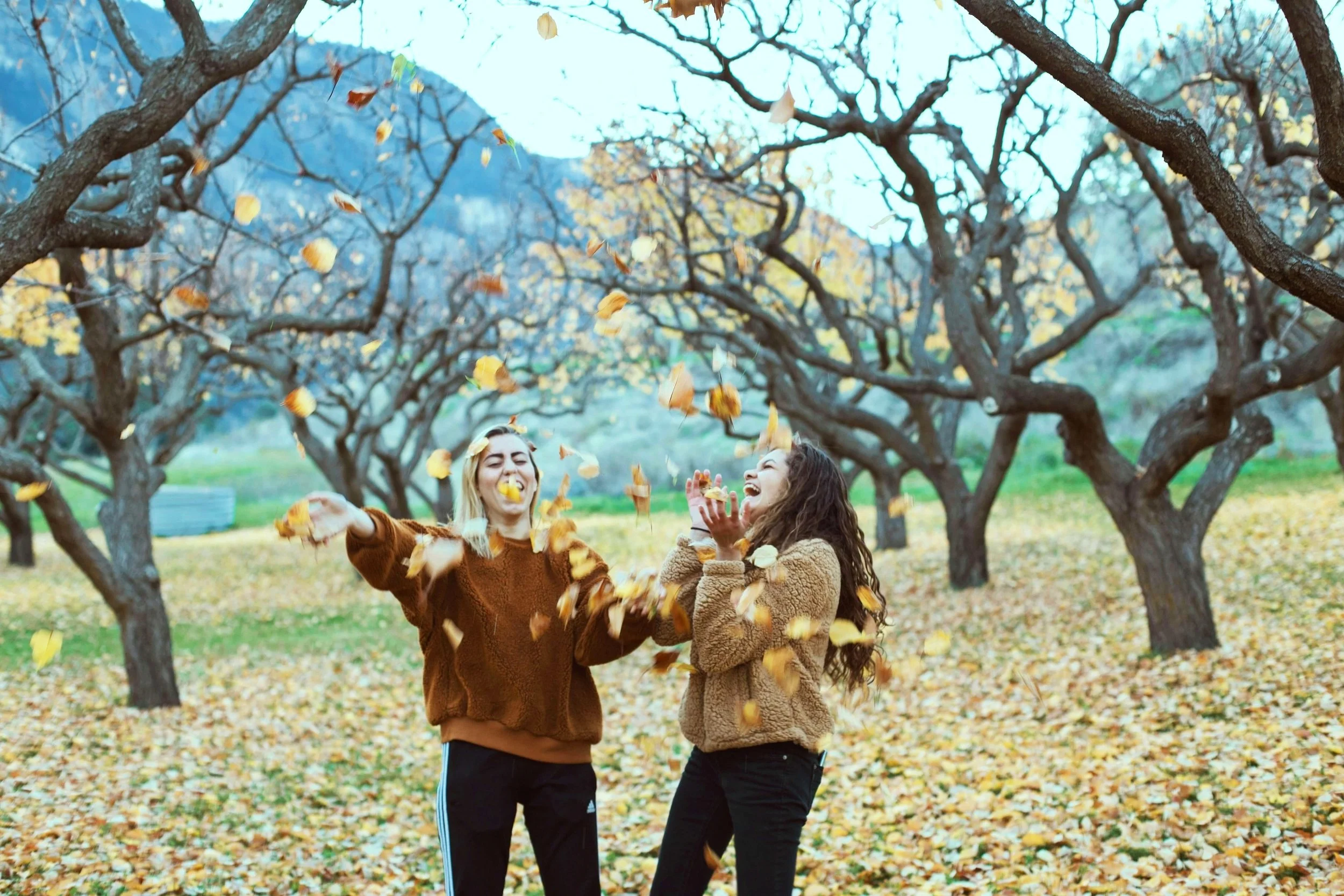 Two women laughing and playing with falling yellow and brown leaves in an autumn park with leafless trees in the background.