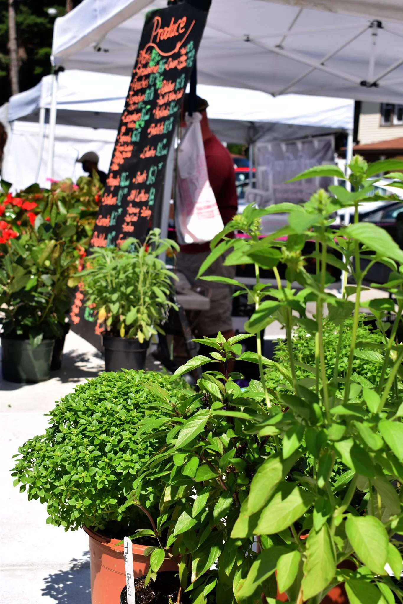 Millbrook Farmers Market