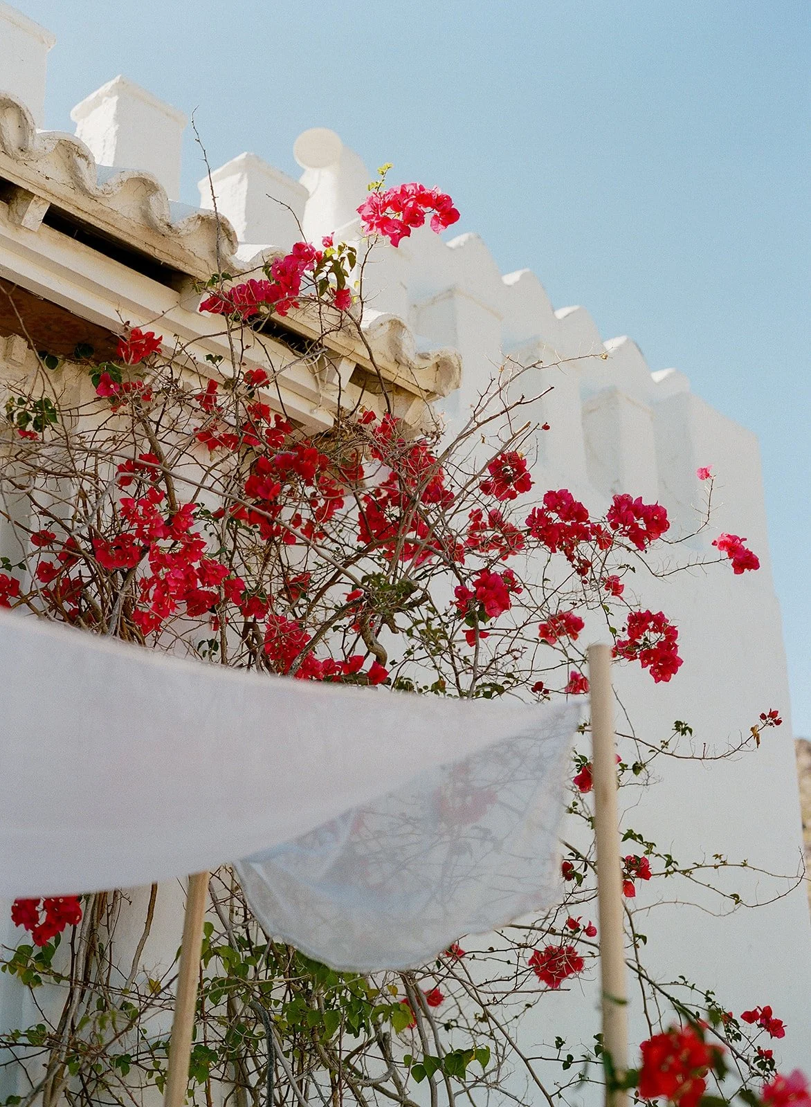 grace+nick-15.jpg