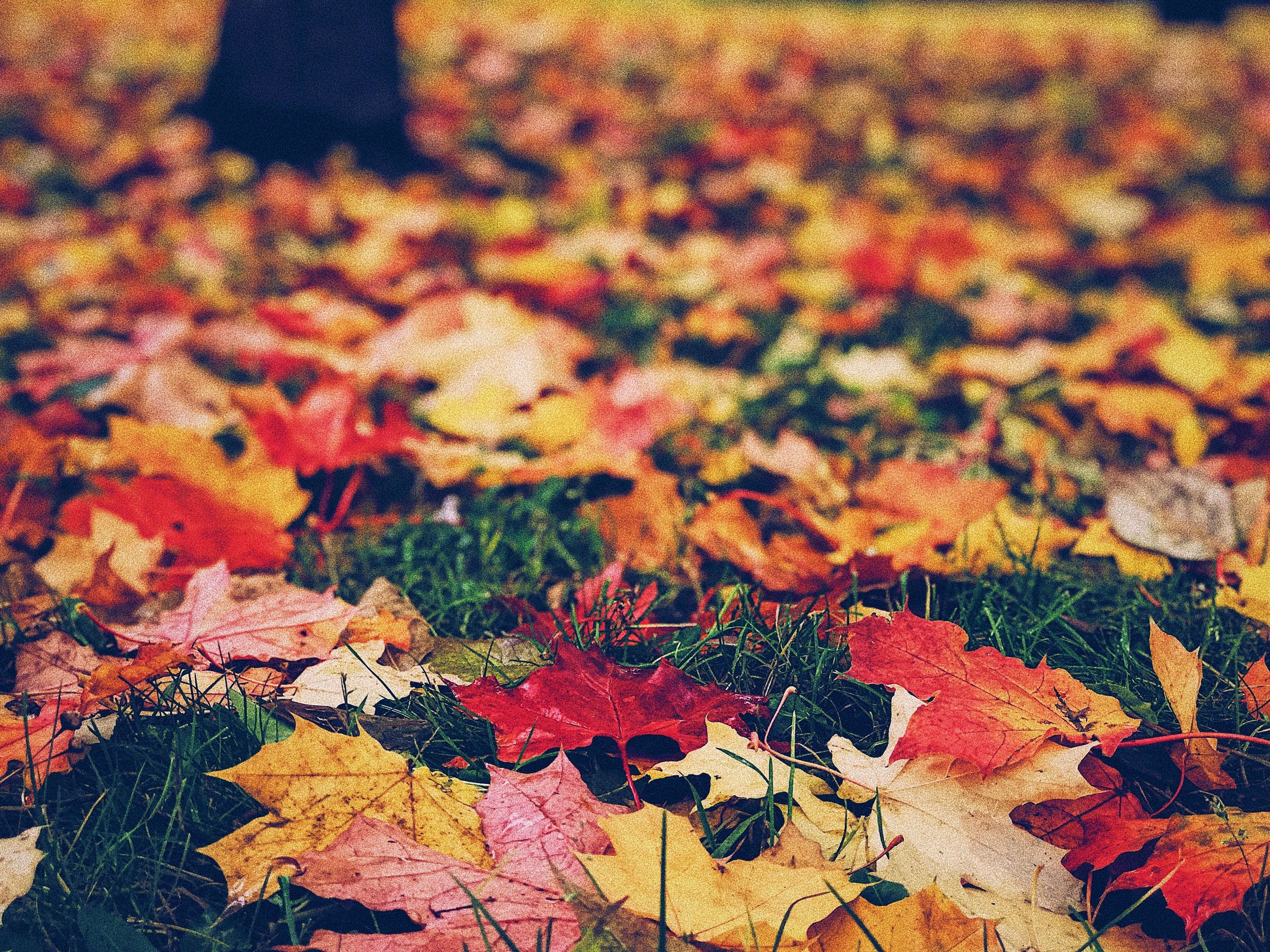 September