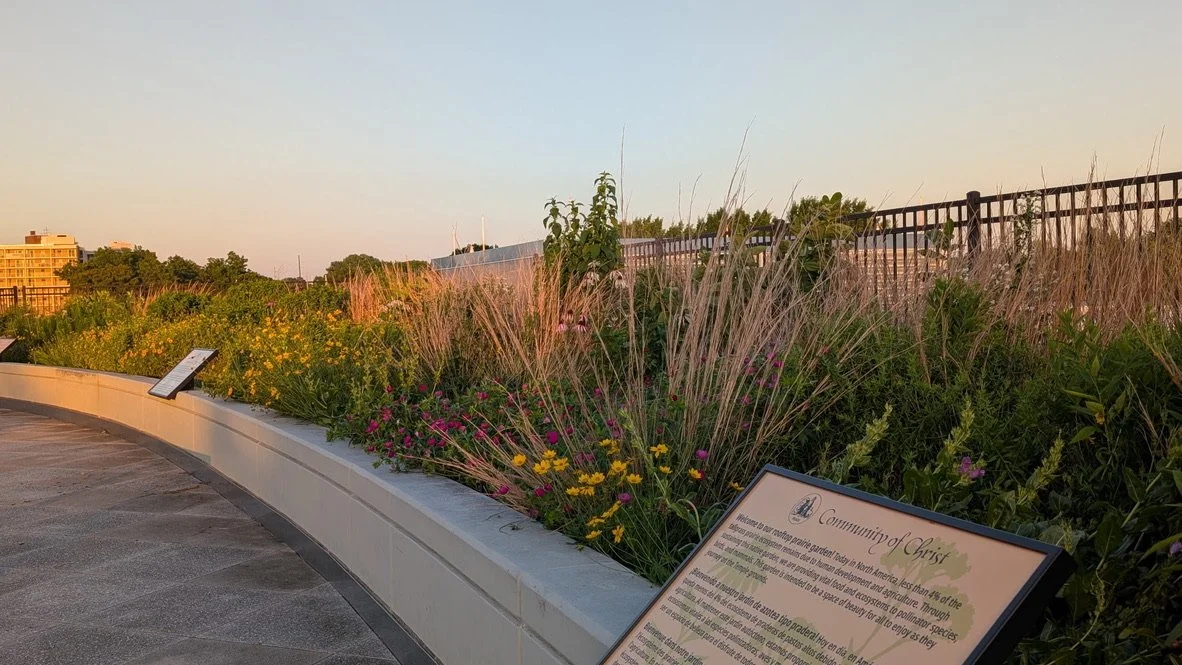 Rooftop Praire Garden