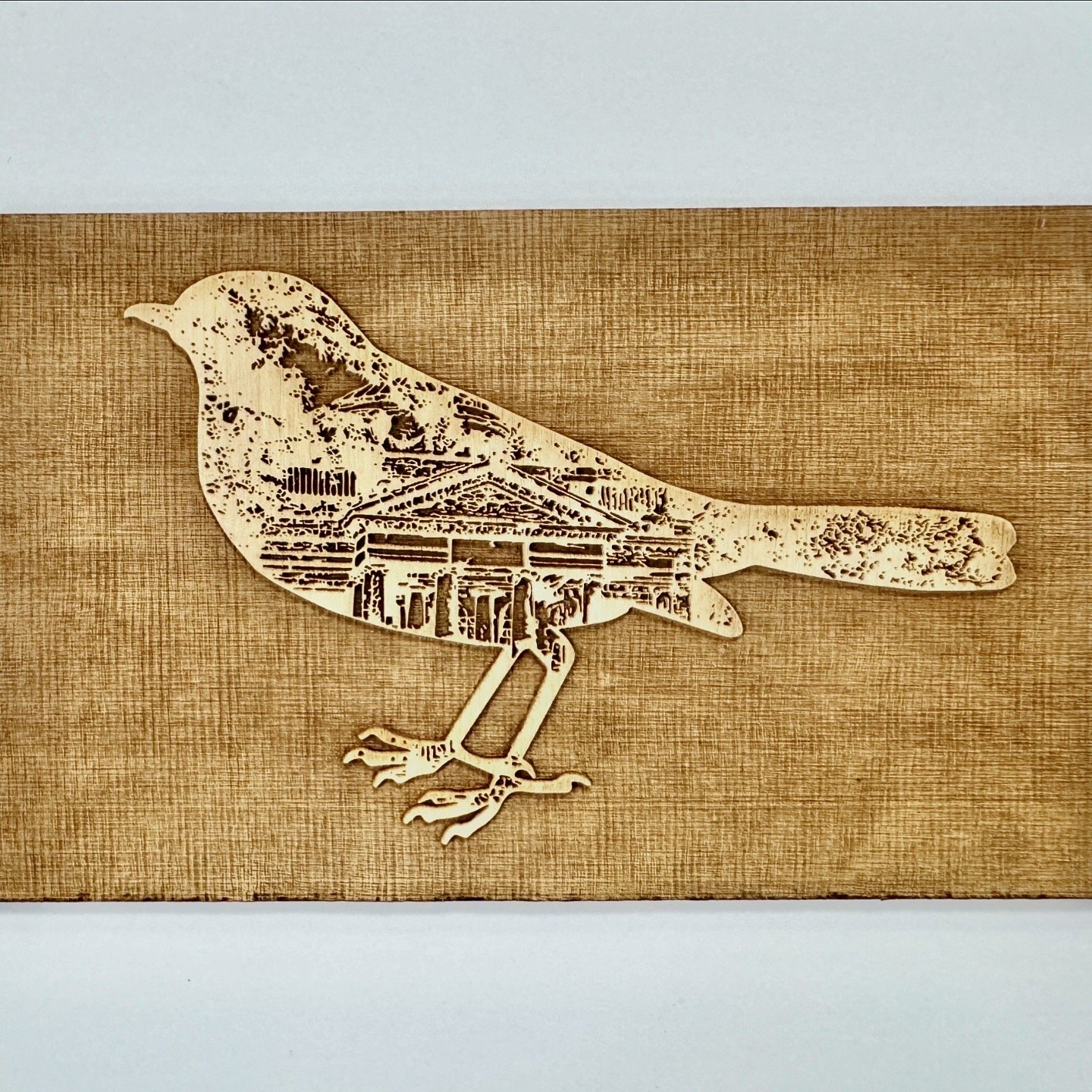The Bewick Society Orbis Community Jonpaul Kirvan3.JPG