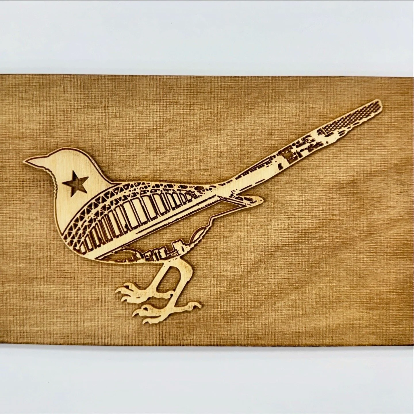 The Bewick Society Orbis Community Jonpaul Kirvan4.JPG