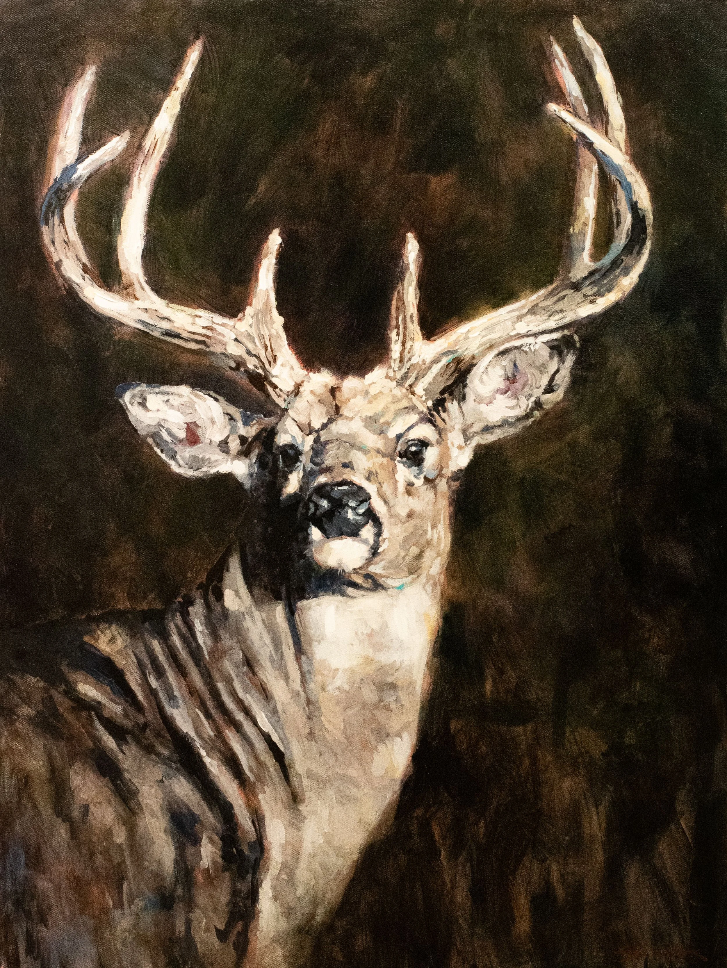 "Local Legend" 40x30" Acrylic