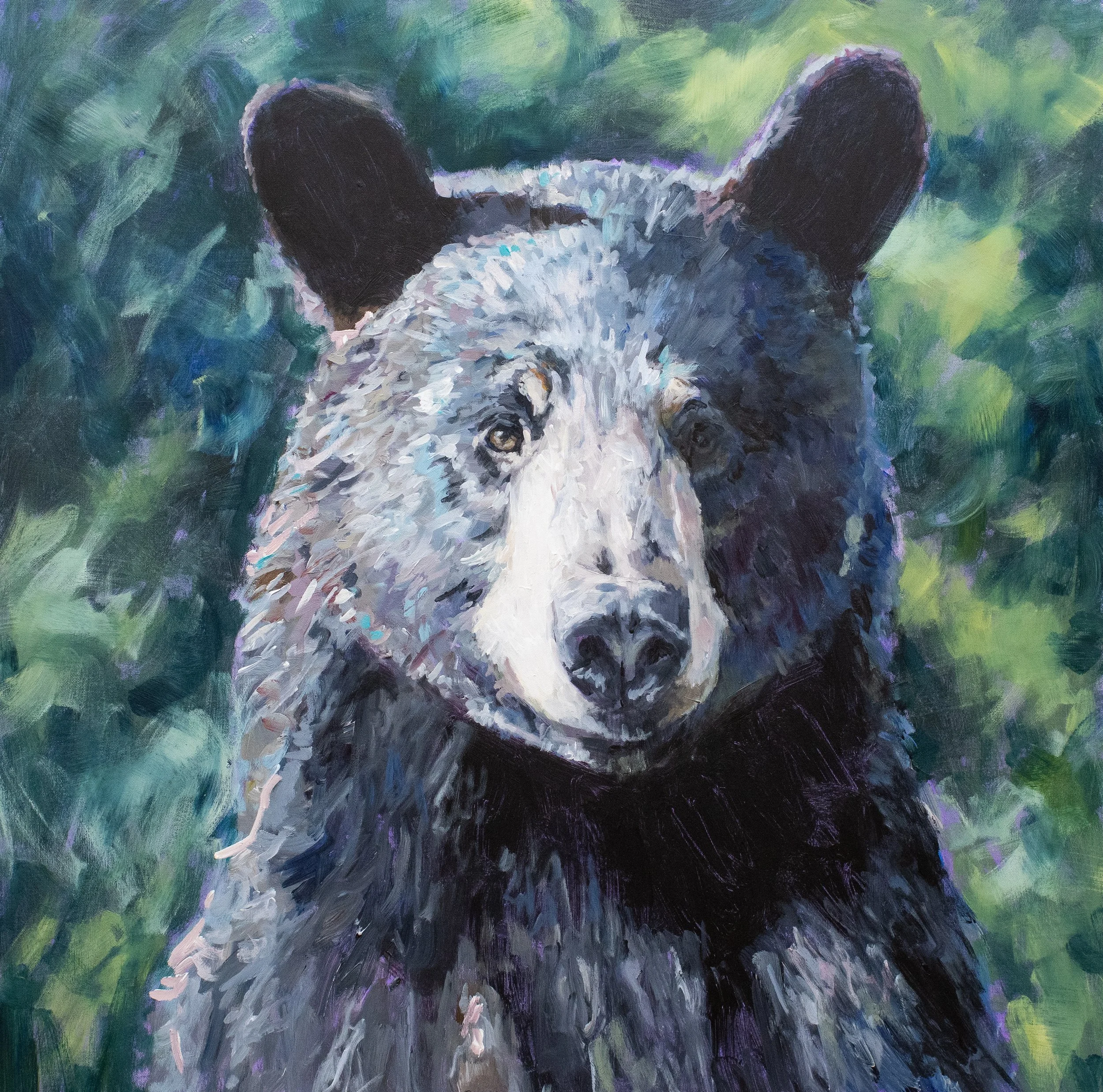 Knox_Bear.jpg