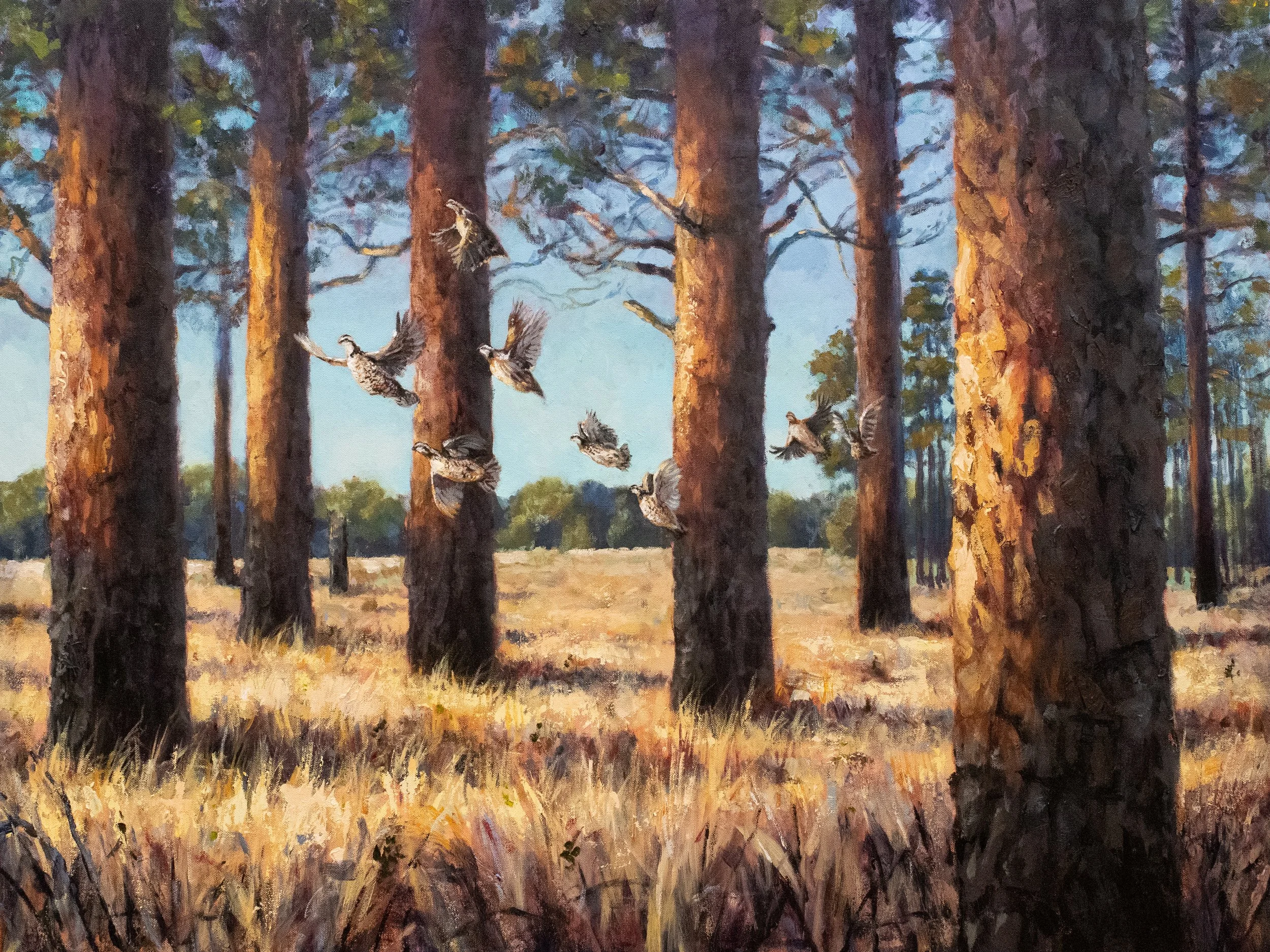 "Window into the Blackbelt" 40x30" Acrylic