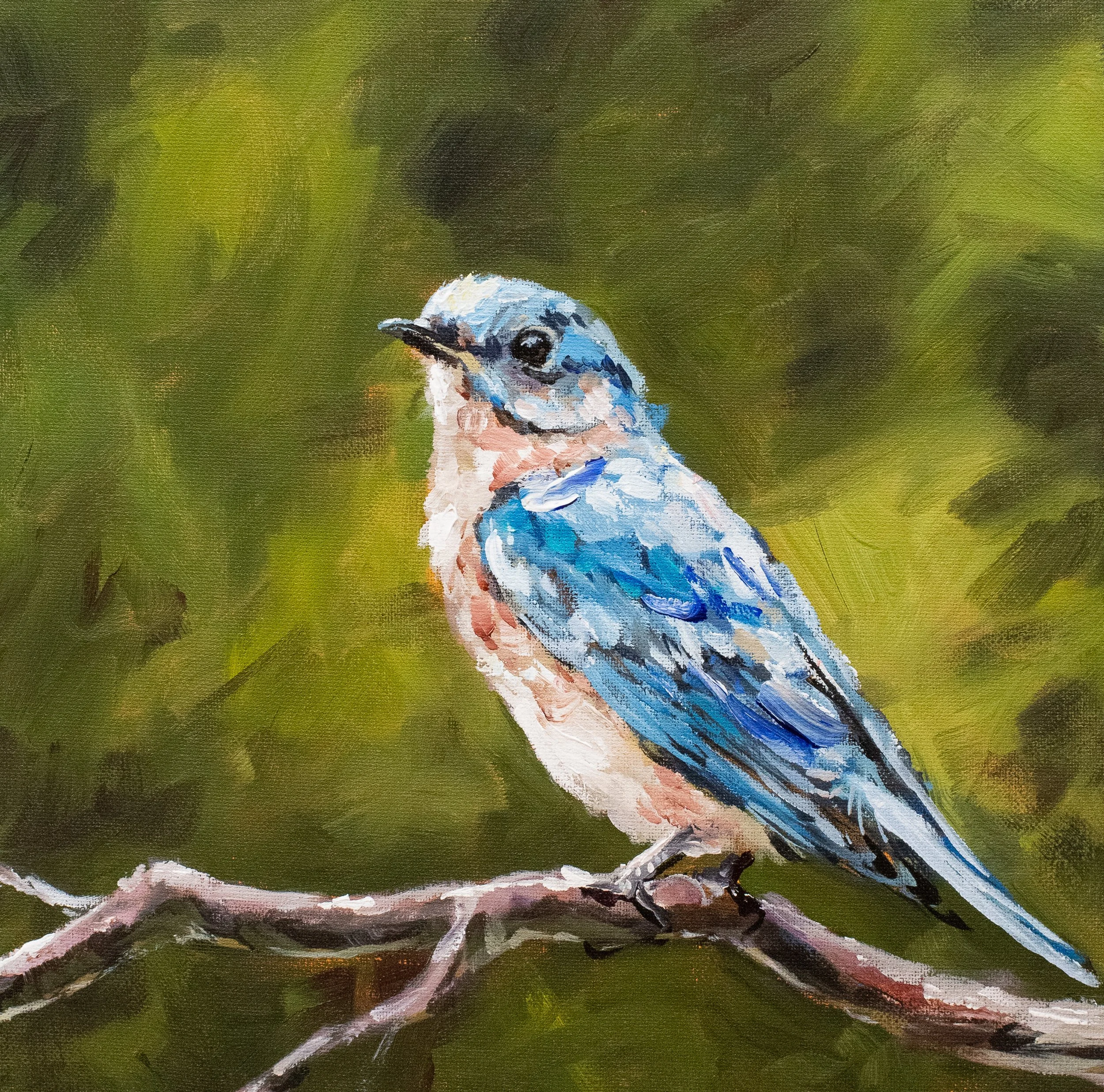 "Blue Bird" 12x12" Acrylic