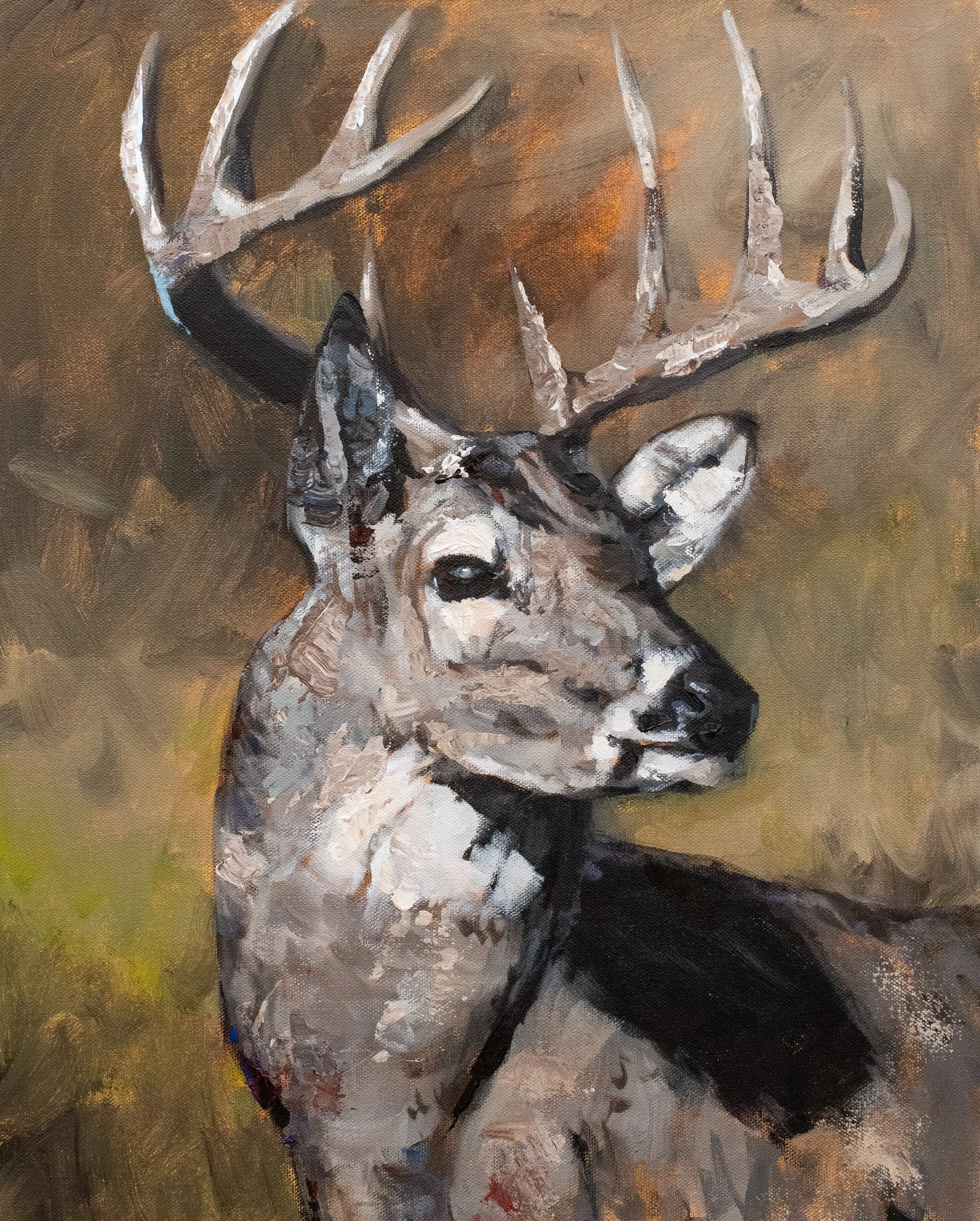 "A Handsome Profile" 20x16"