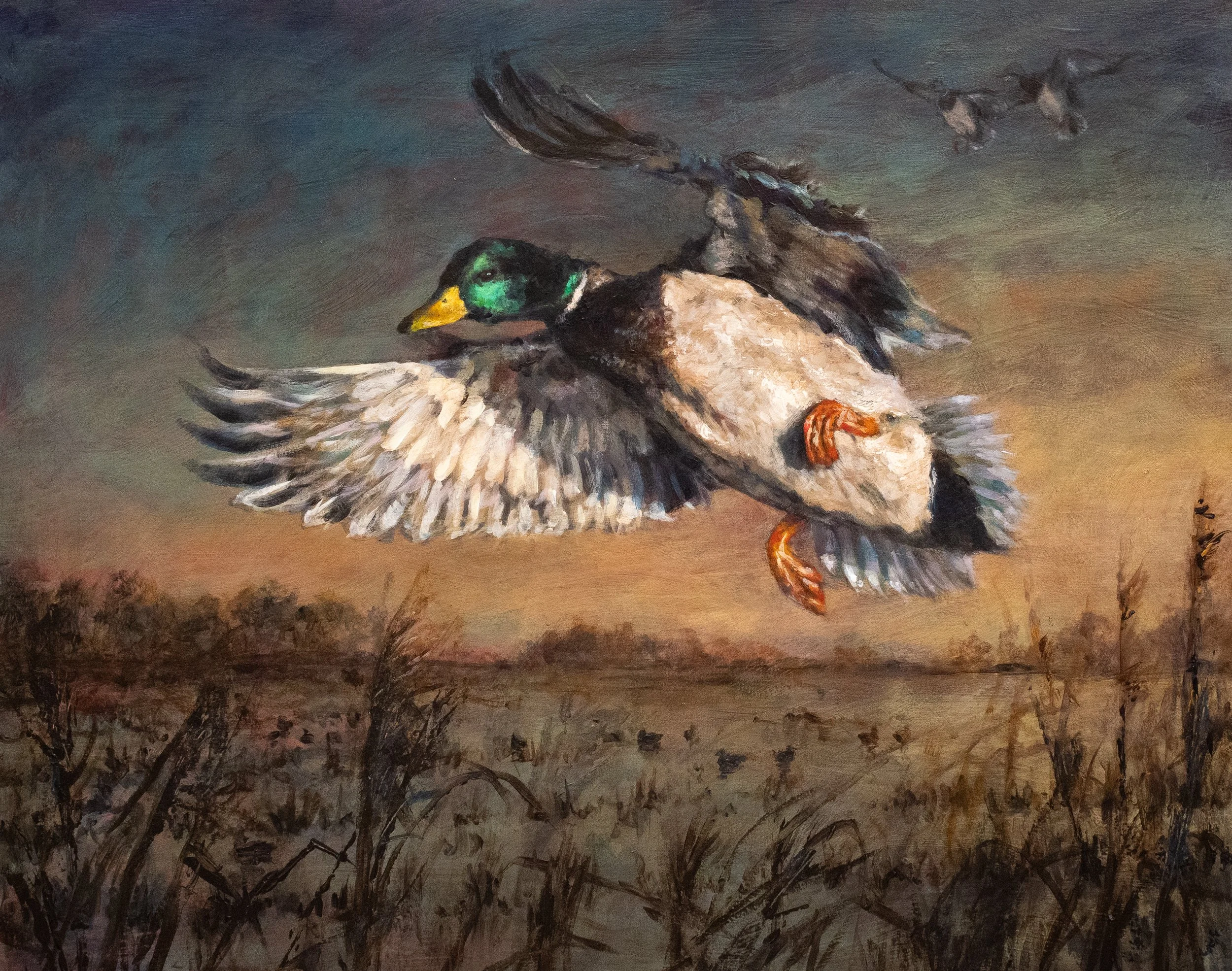 "Landing in Light" 24x30" Acrylic