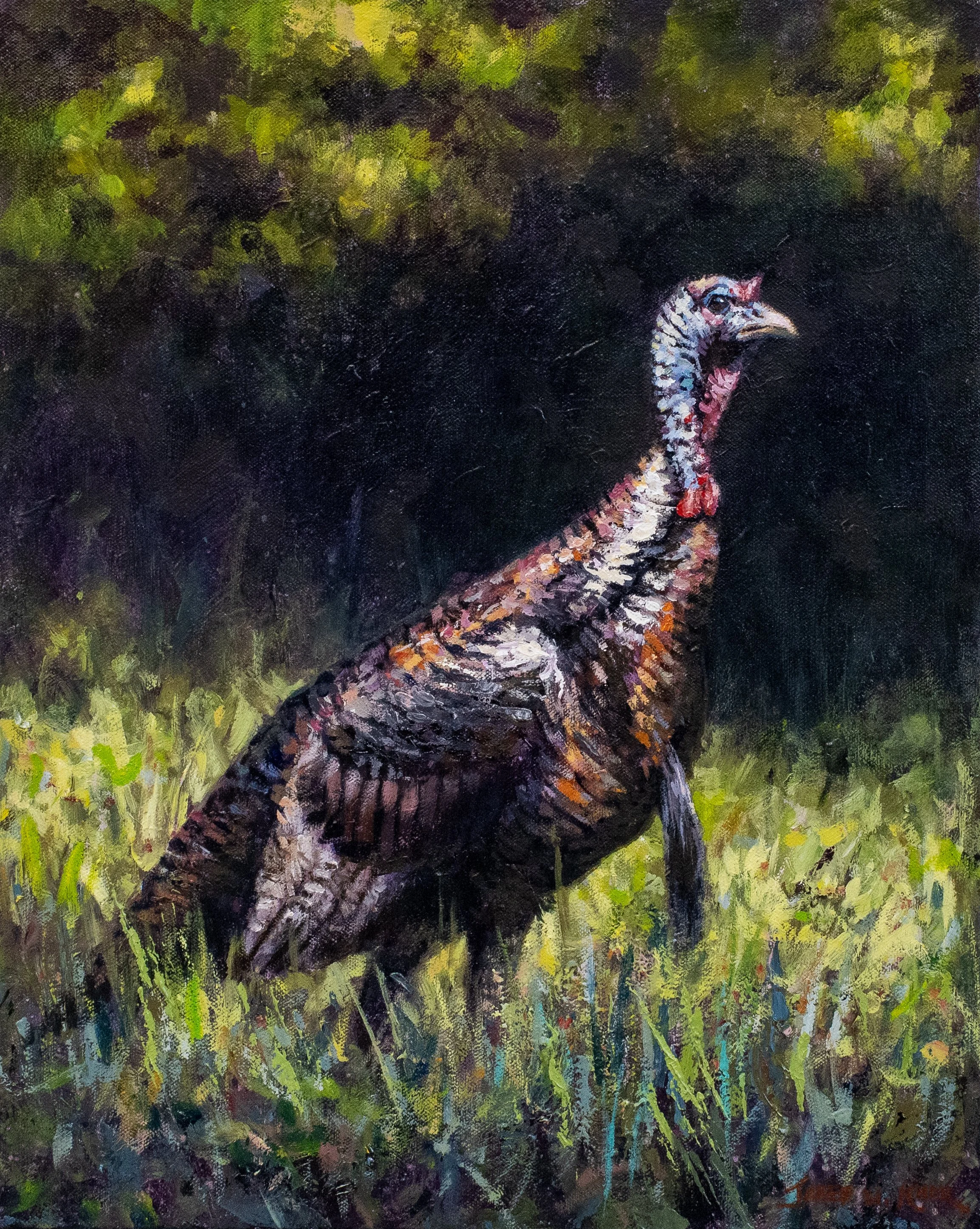 "No Strutt Necessary" 20x16" 