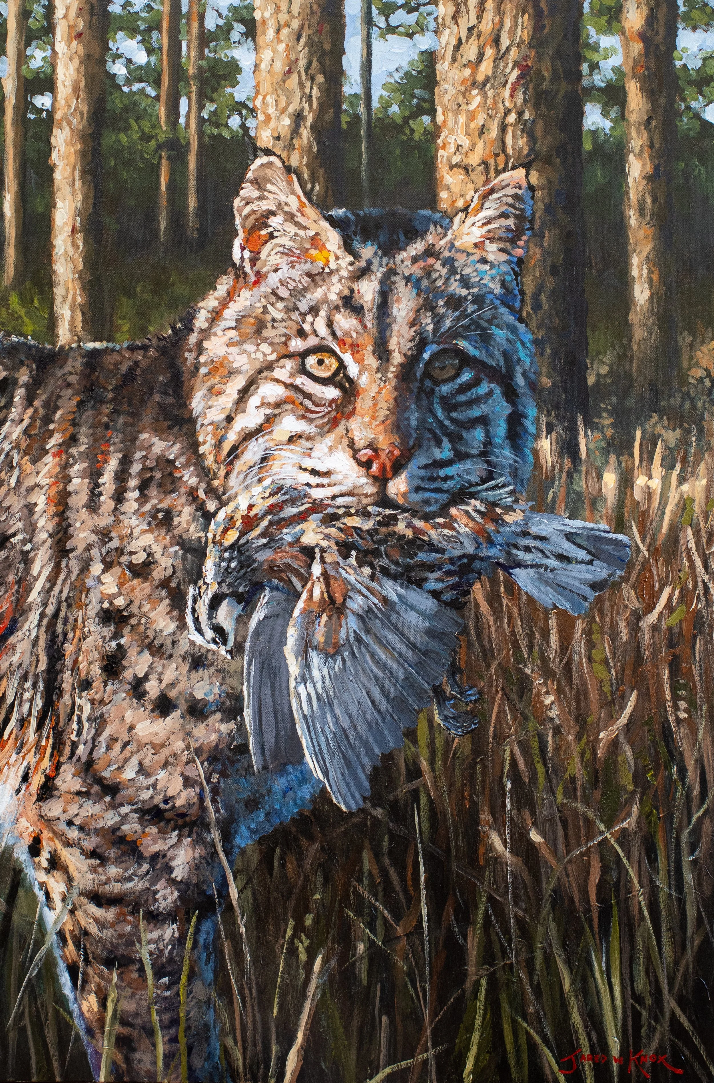 "Bobcat and Bobwhite" 24x36" Acrylic