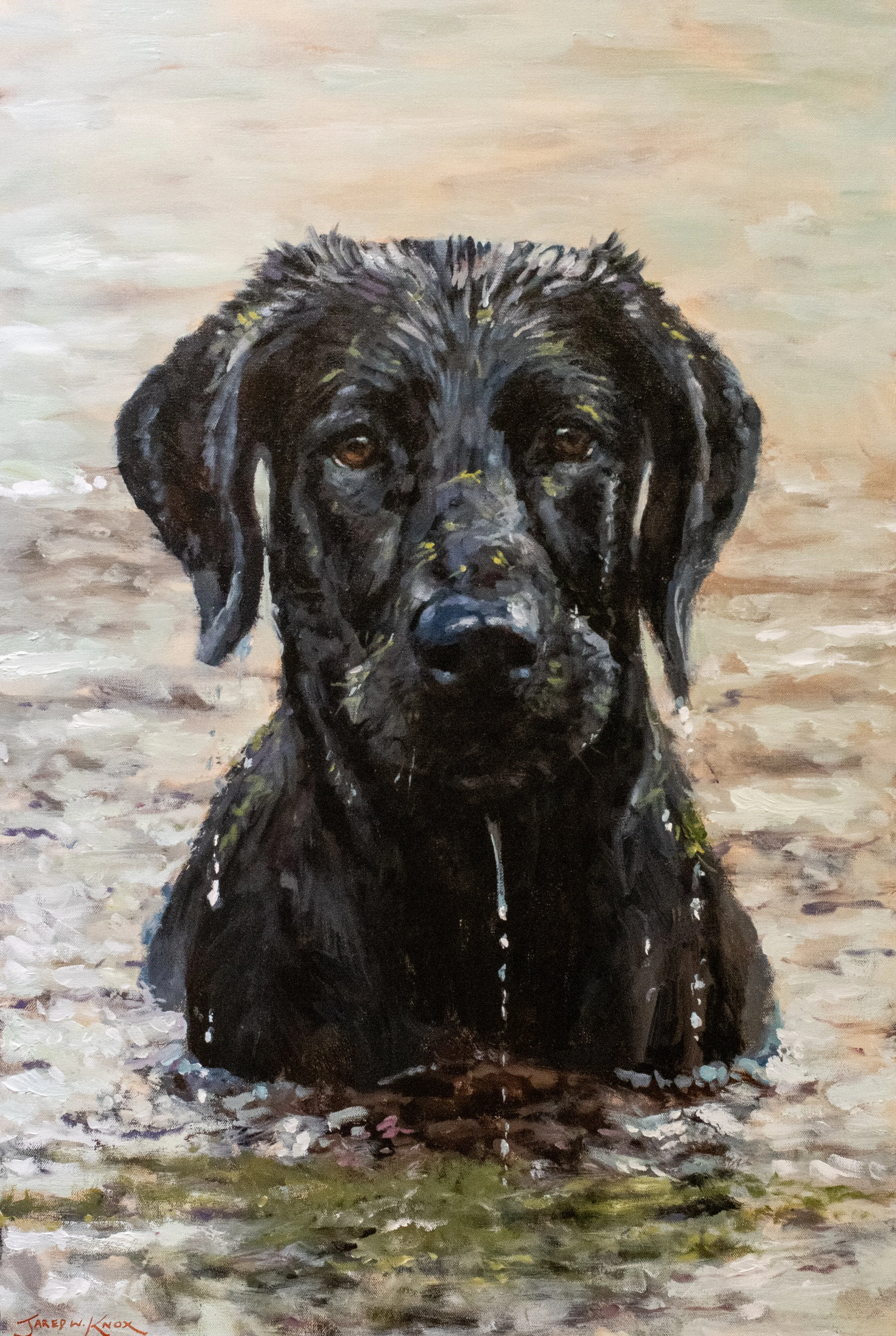 Colbert Commission 36x24" Acrylic