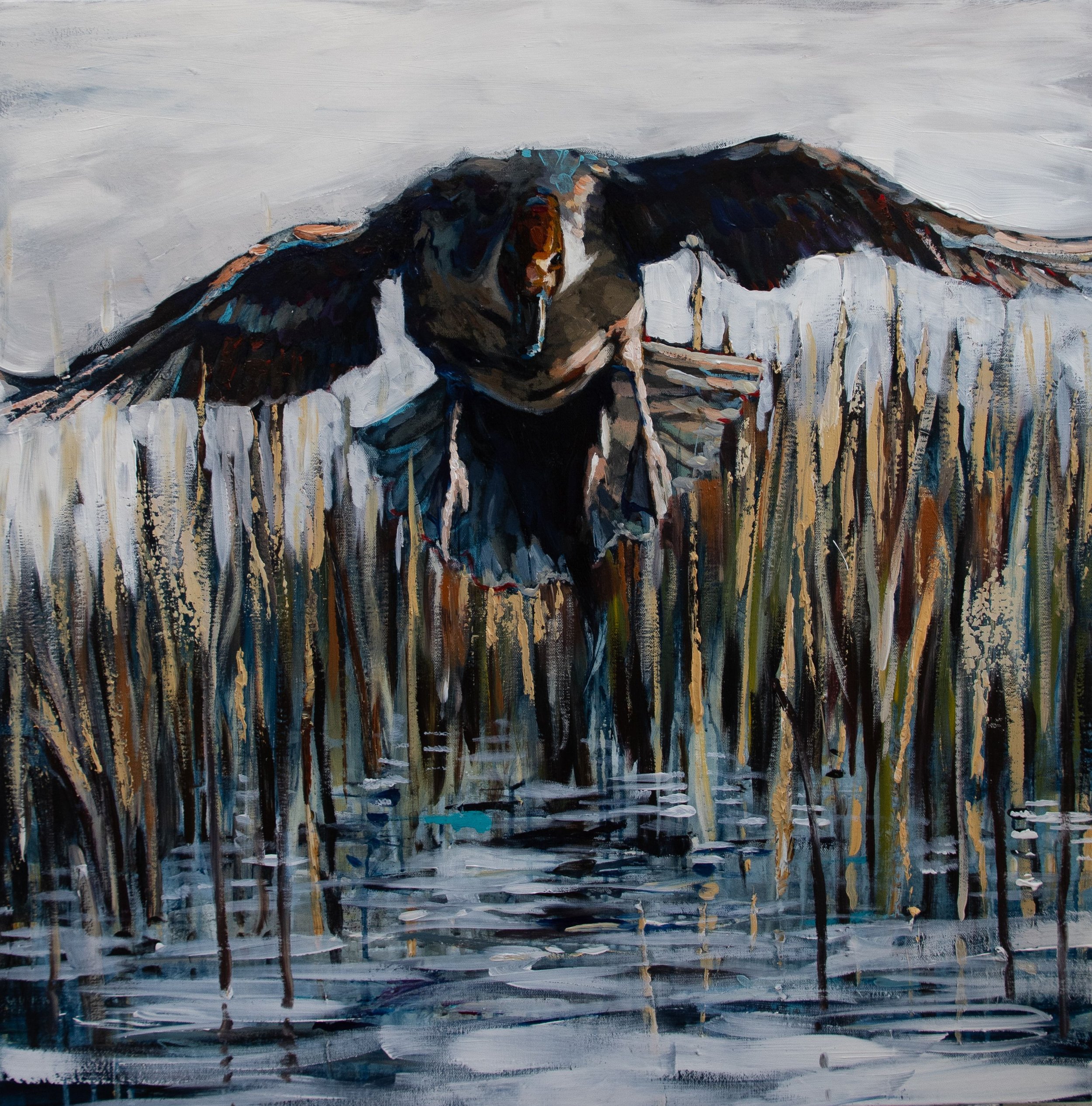 "Landing in the Reeds" 30x30" Acrylic