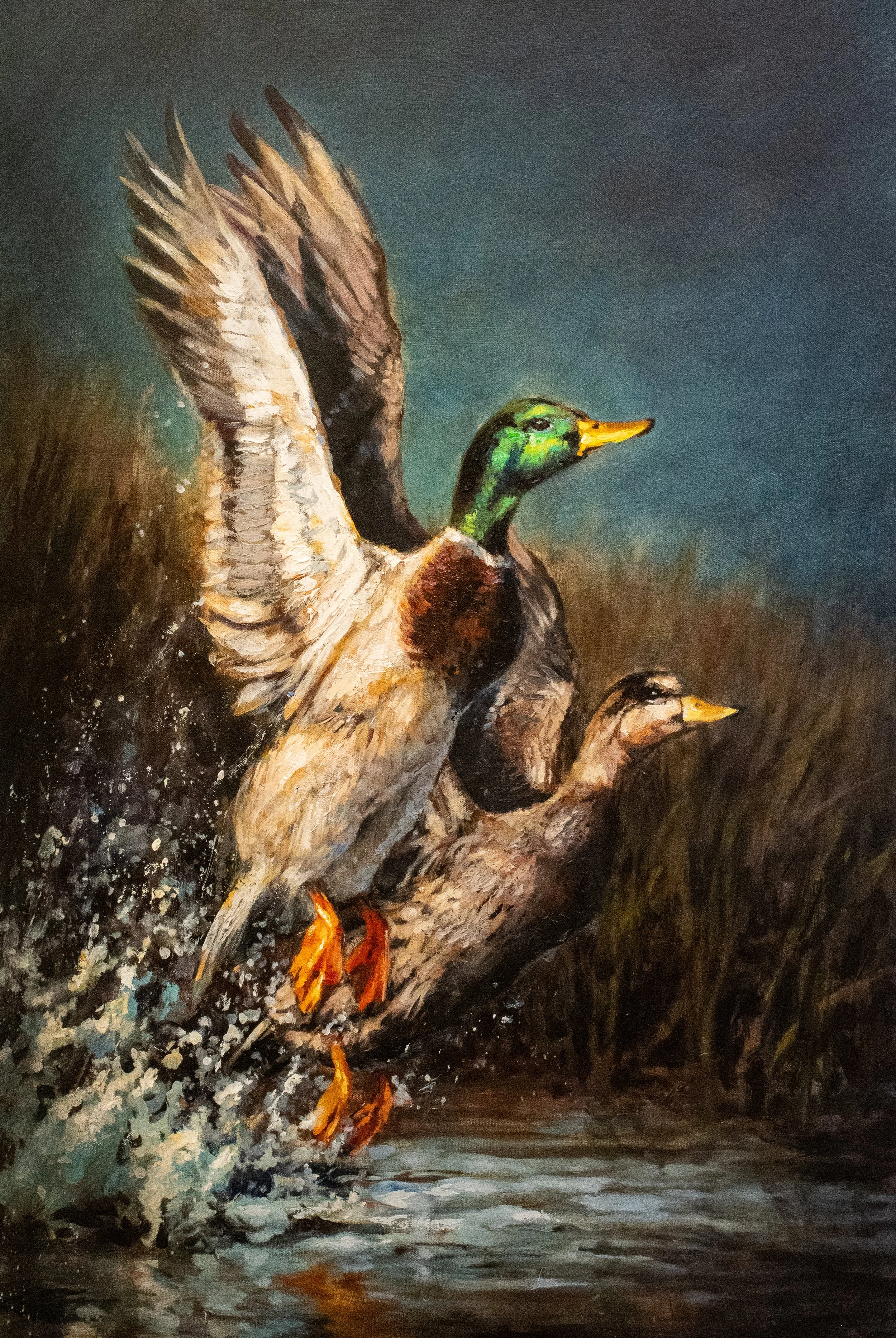 "Flyway Royalty" 36x24" Acrylic