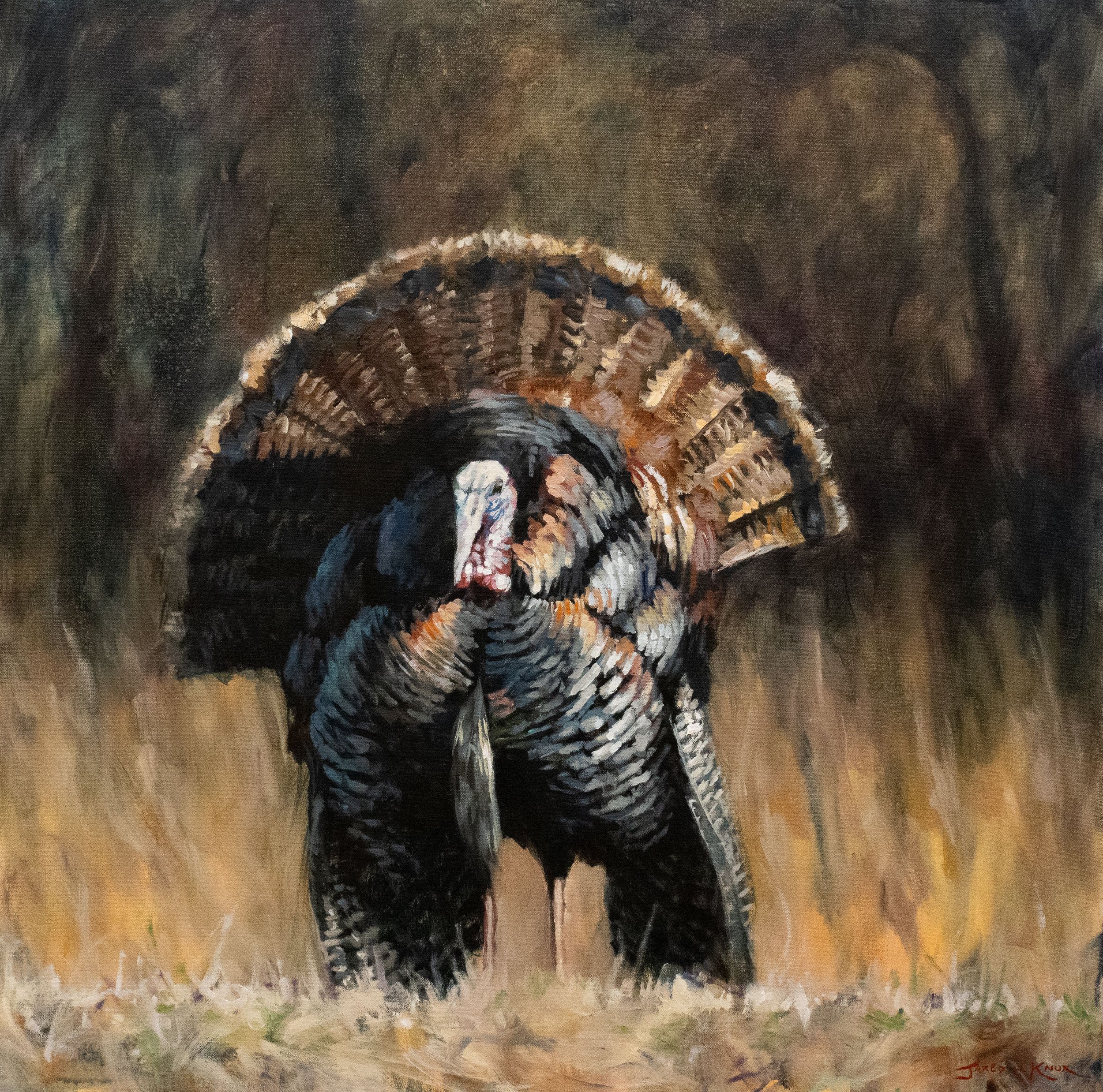 Turkey Commission 36x36" Acrylic