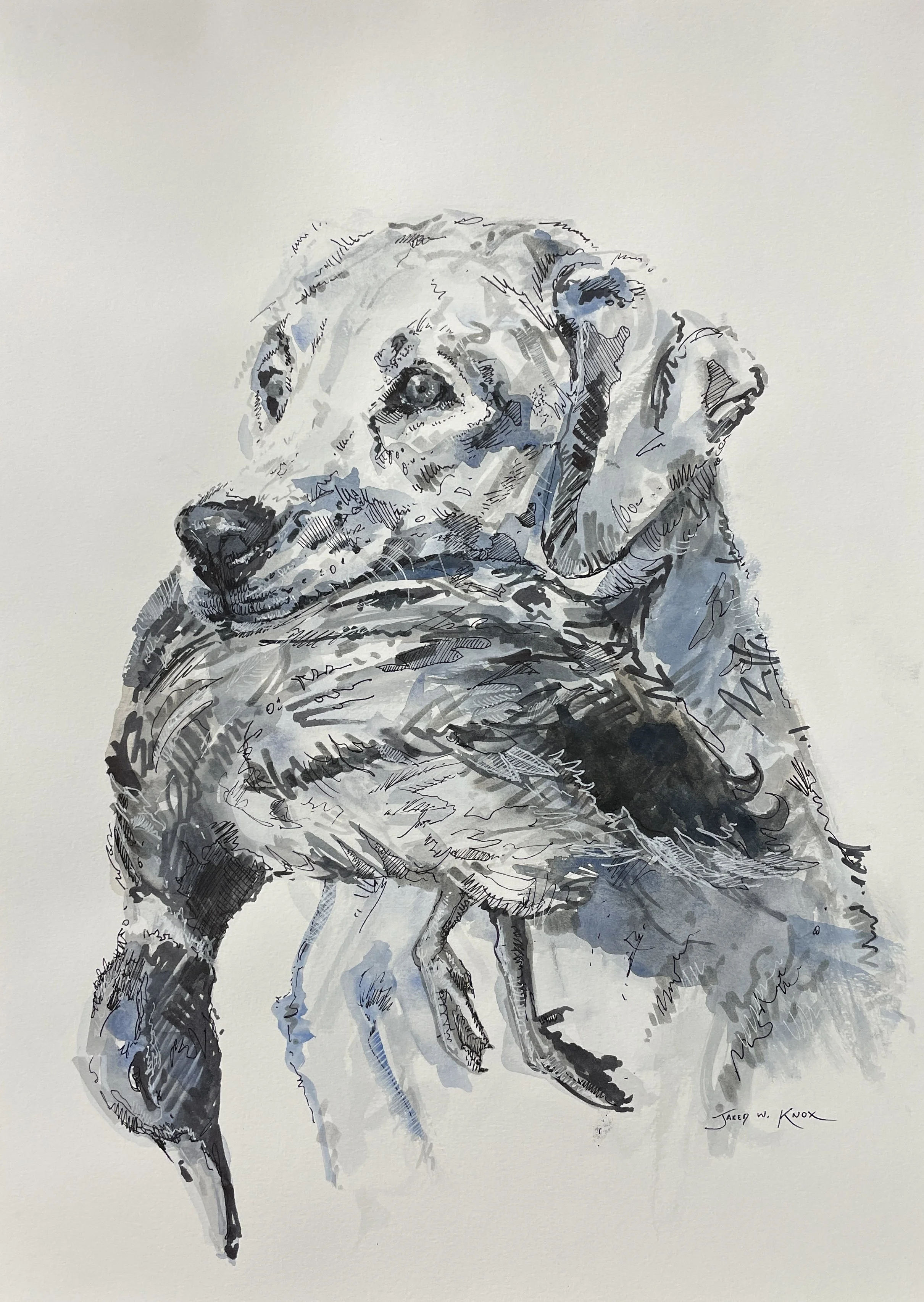 The Presentation Sketch 24x18"
