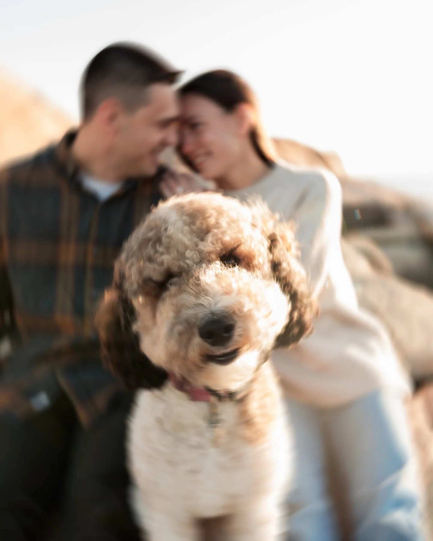Millie was the star of the show 🥹 Maria &amp; Cam&rsquo;s engagement session was so much fun!