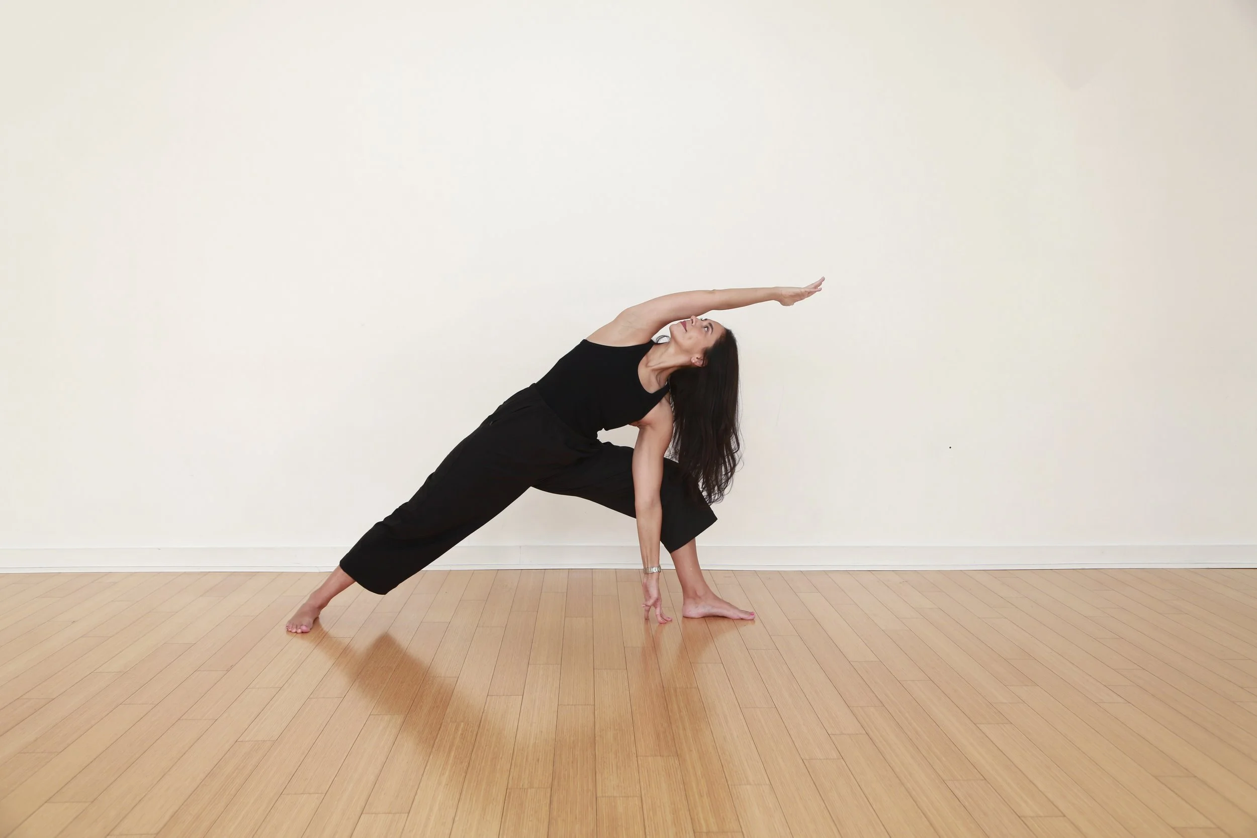 Learning to Live with Our Ghosts: Ayyappa, Yoga, and the Art of Becoming